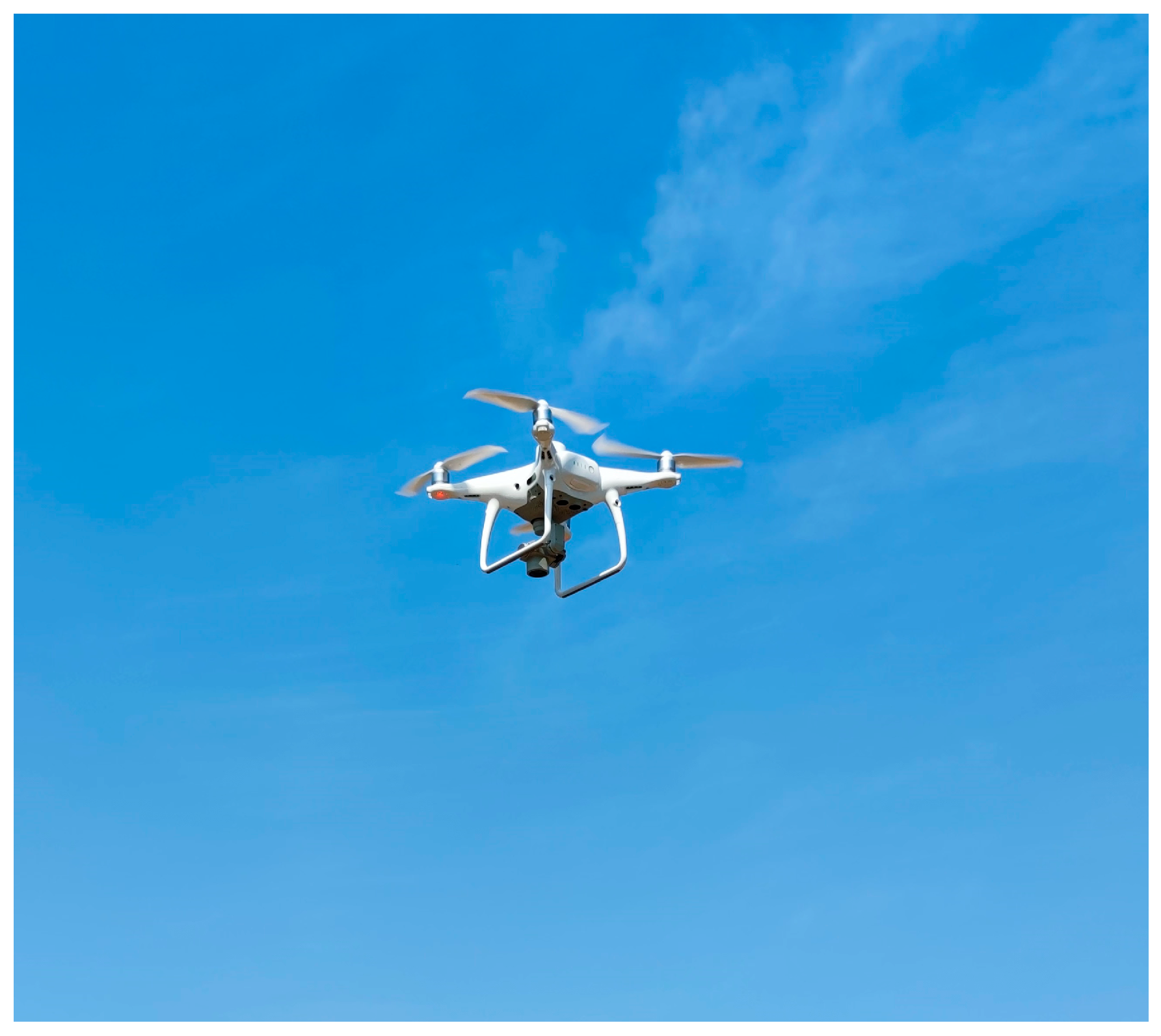 Forests 16 00965 g002