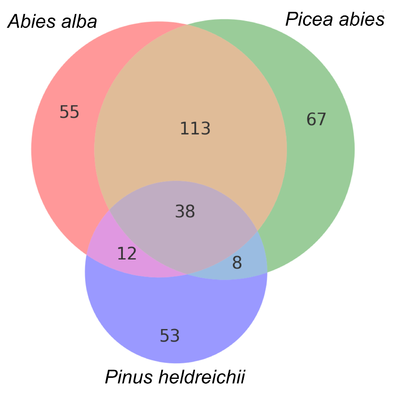 Forests 16 00968 g003