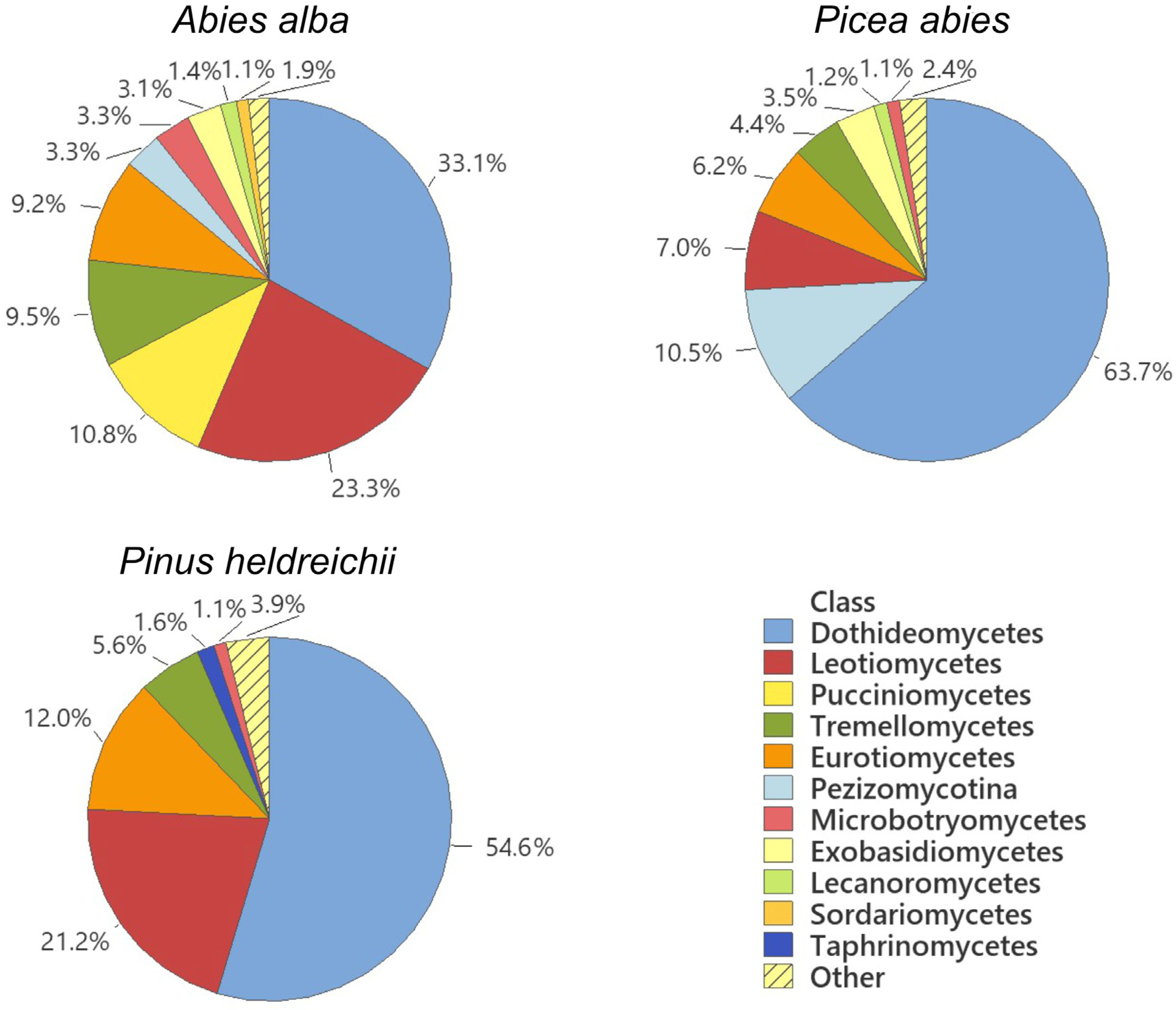 Forests 16 00968 g004