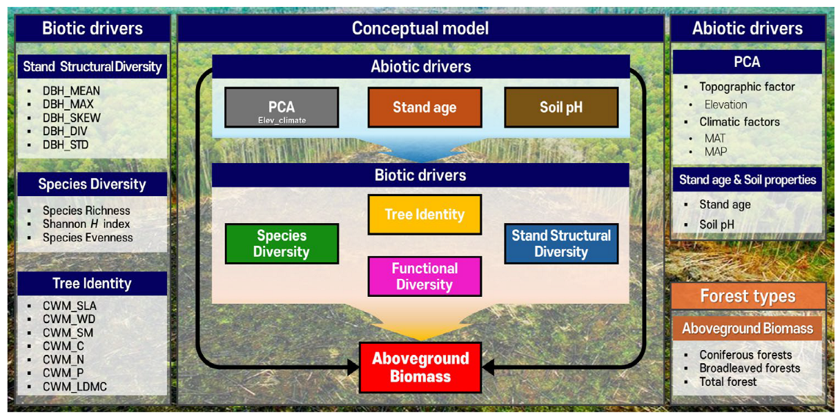 Forests 16 00979 g001