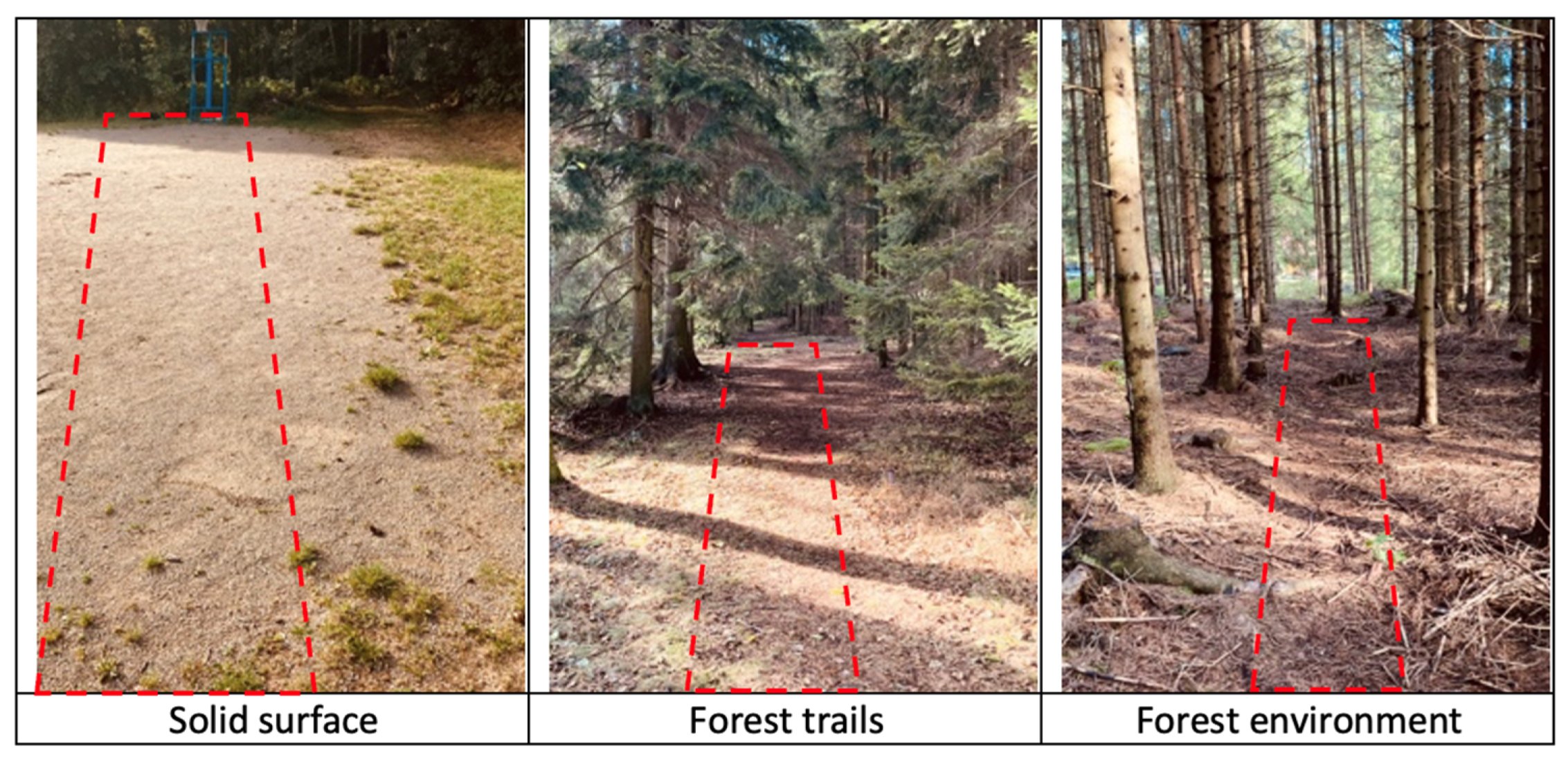 Forests 16 00996 g001