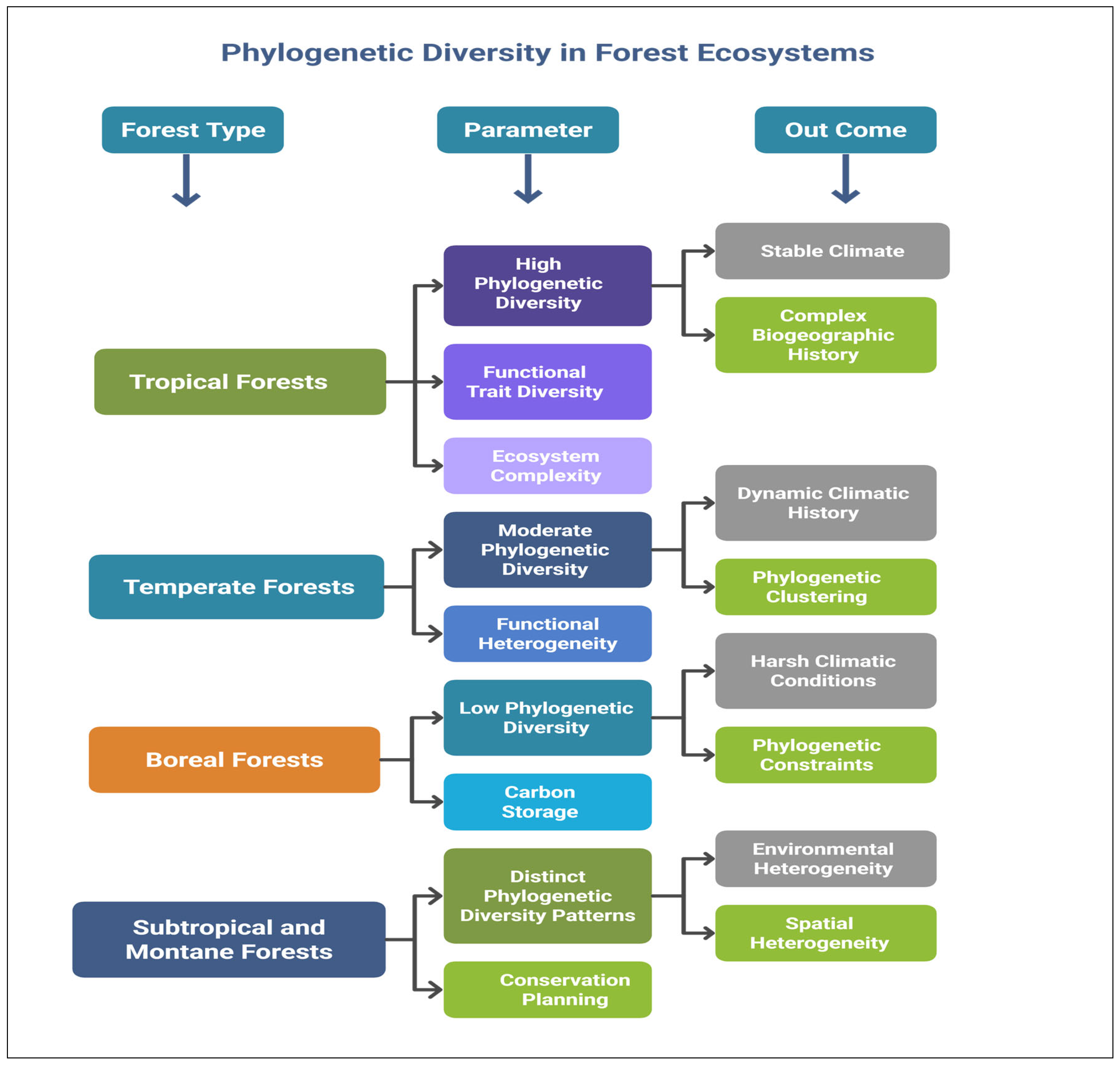 Forests 16 01004 g002