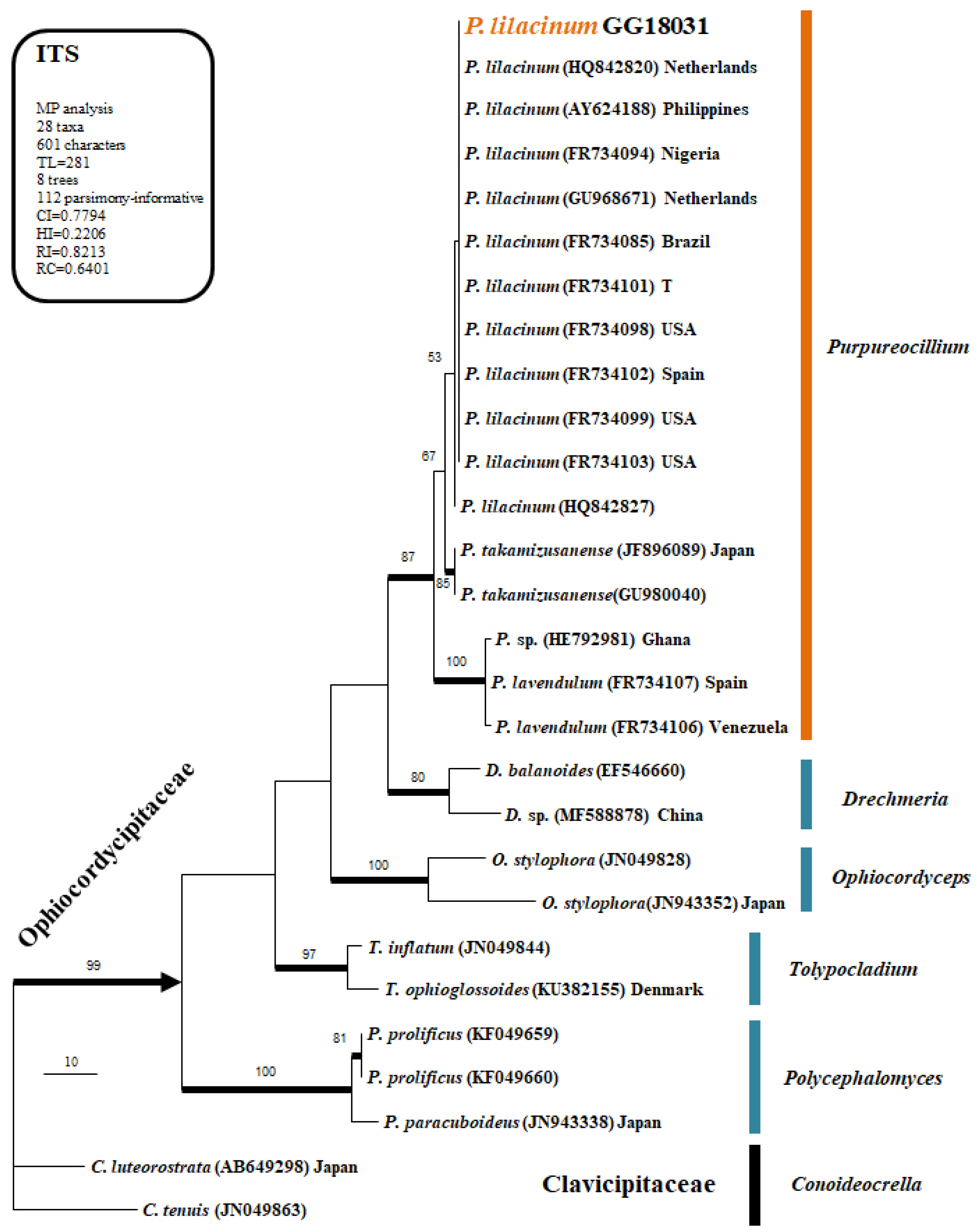 Forests 16 01009 g001