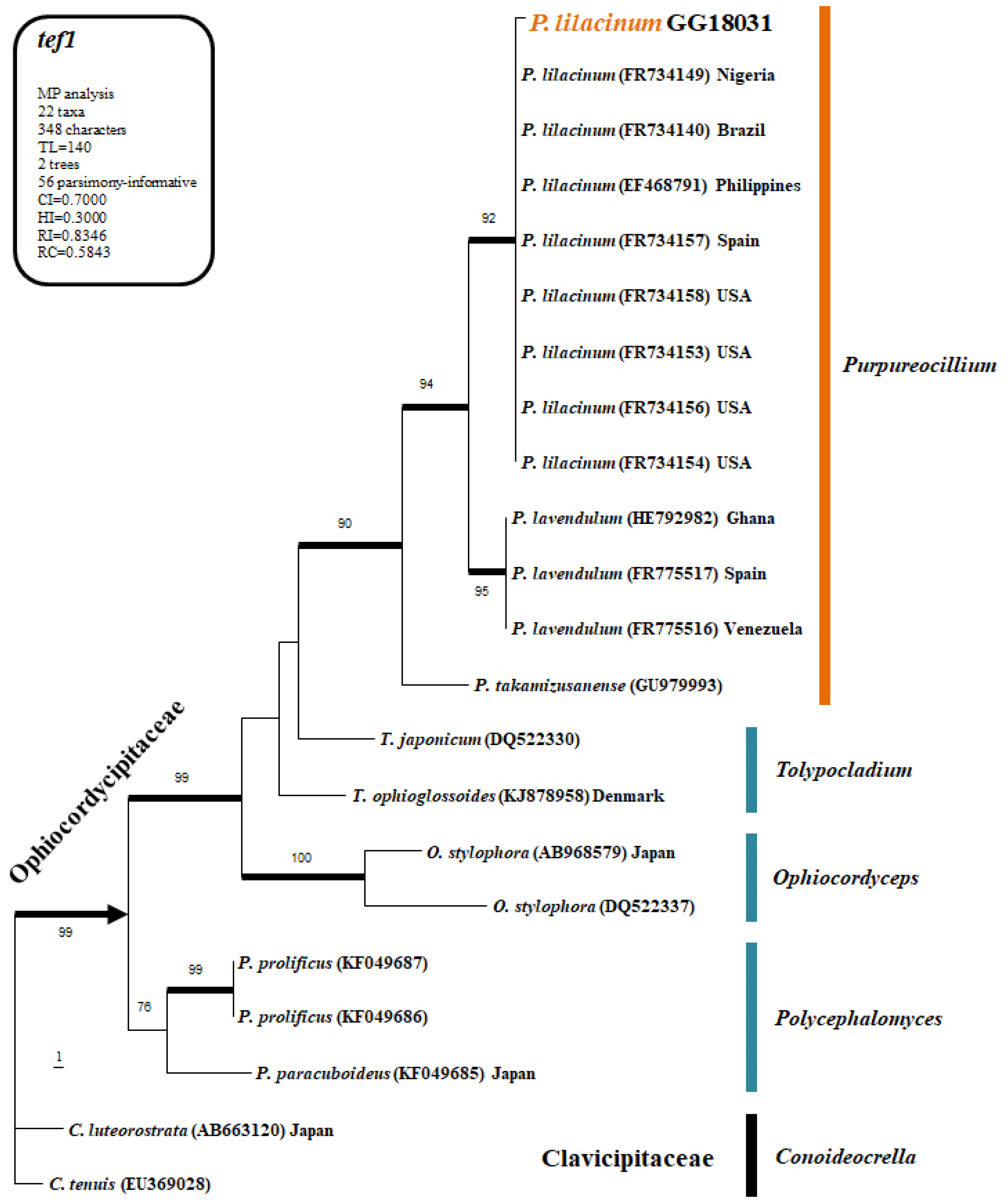 Forests 16 01009 g002