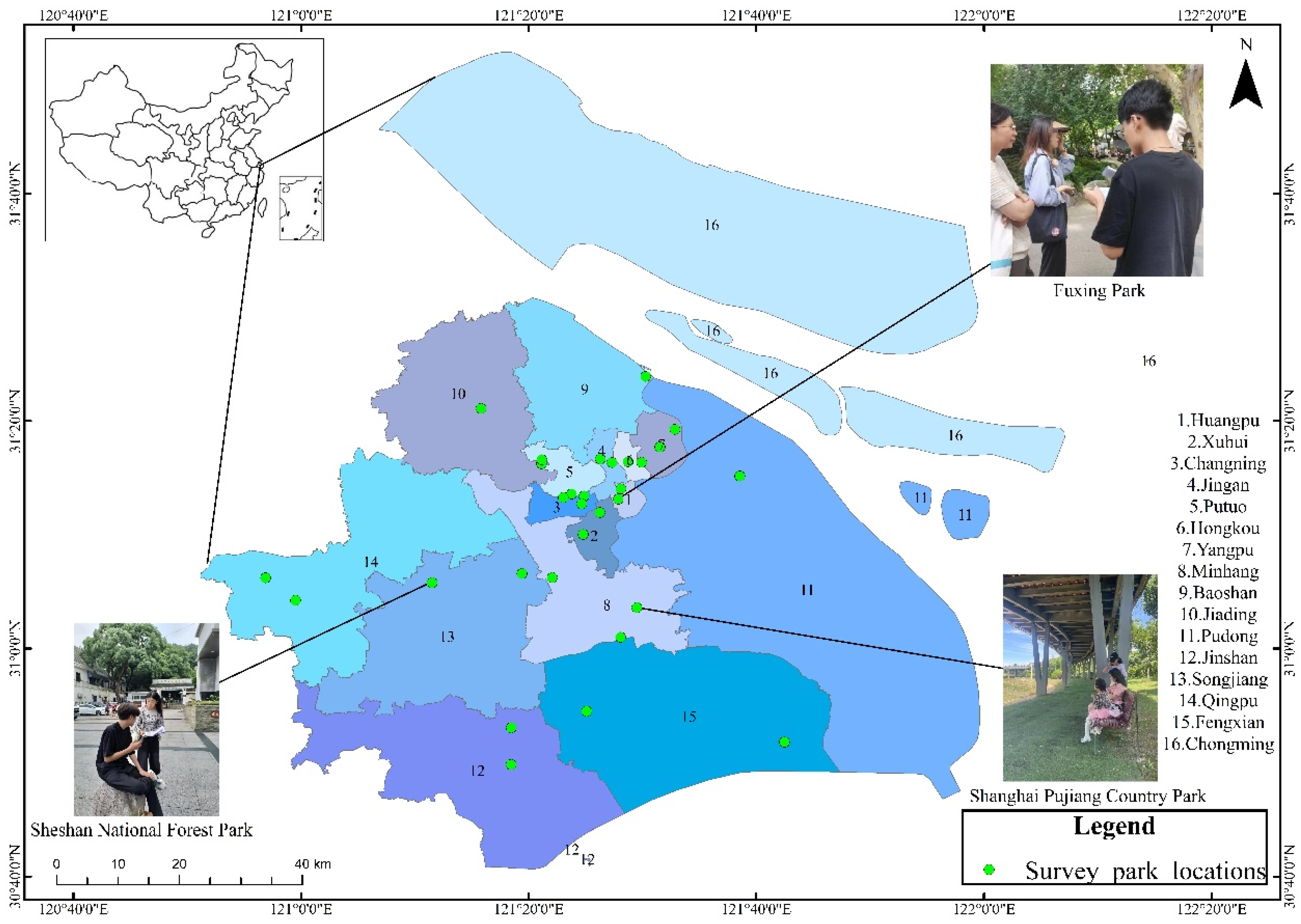 Forests 16 01014 g003