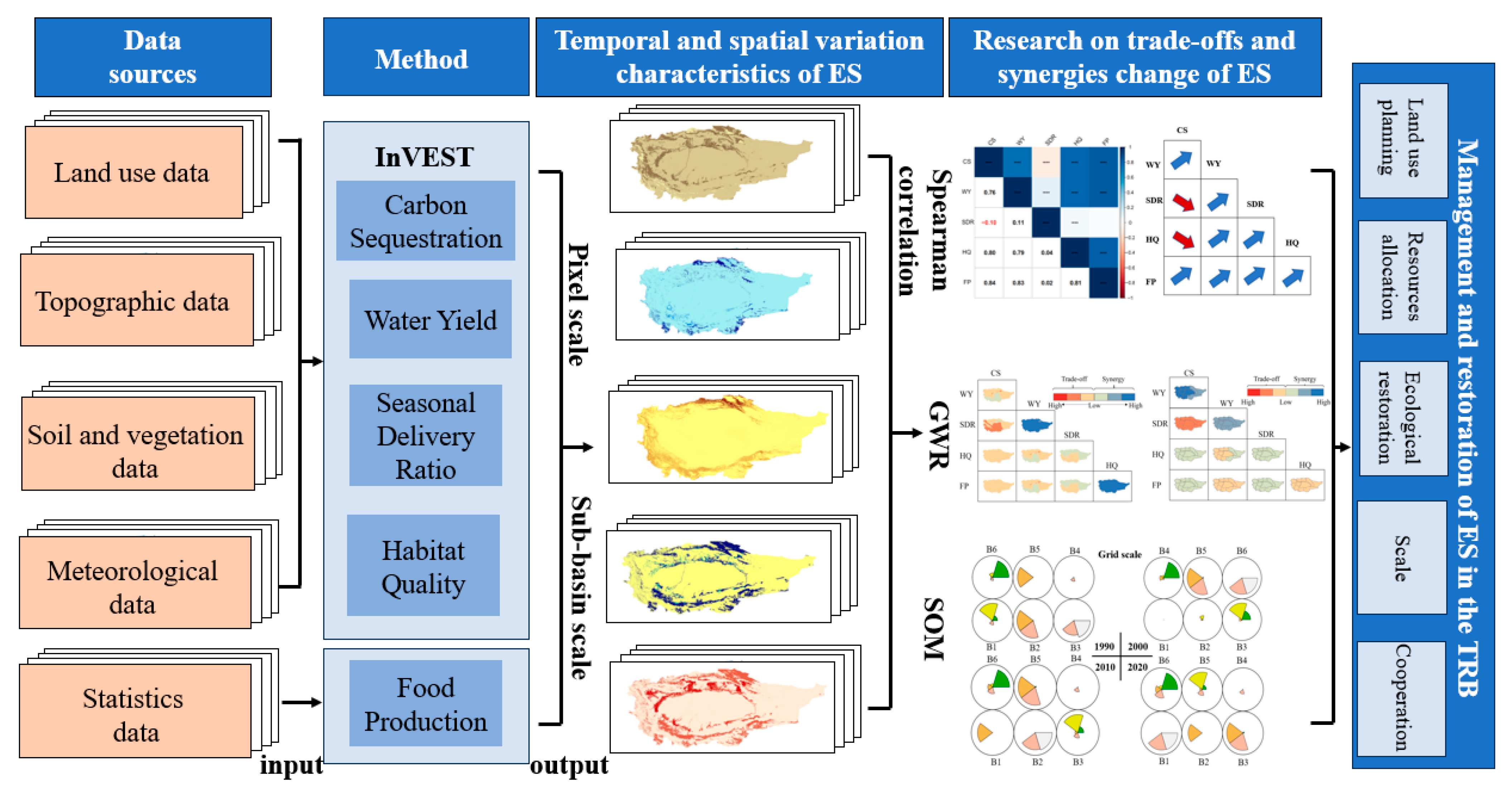 Forests 16 01024 g002