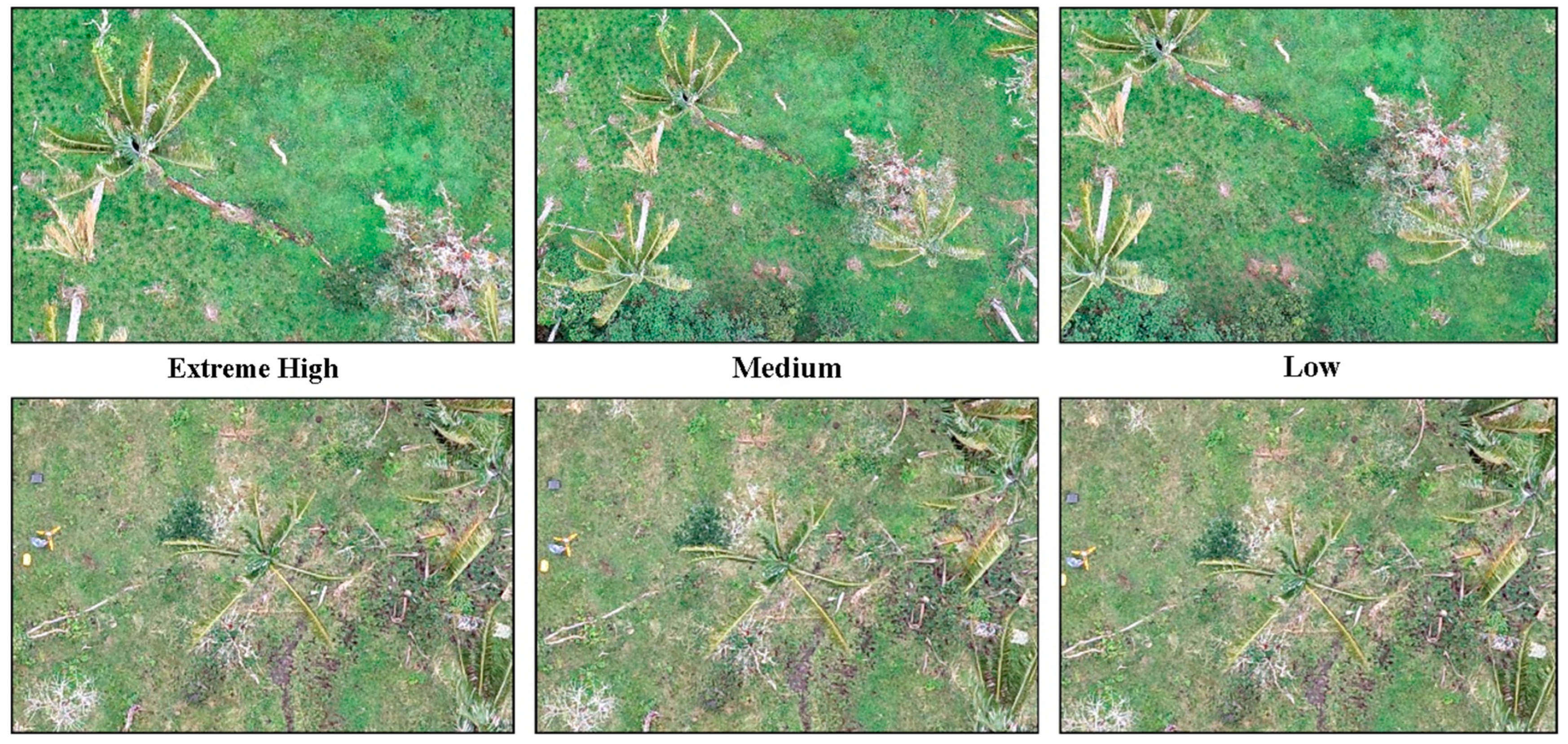 Forests 16 01061 g002 Forests 16 01061 g002