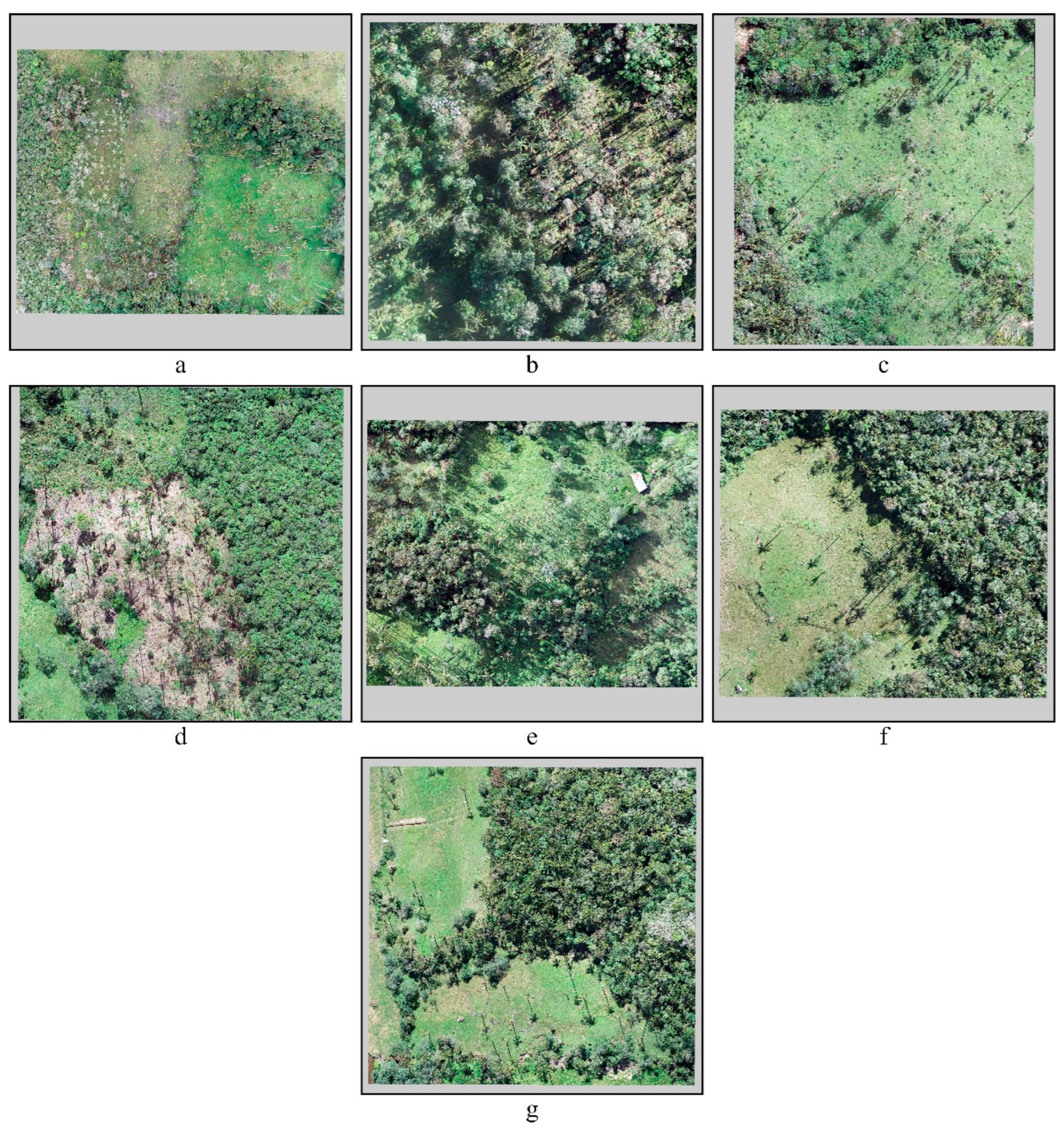 Forests 16 01061 g003 Forests 16 01061 g003