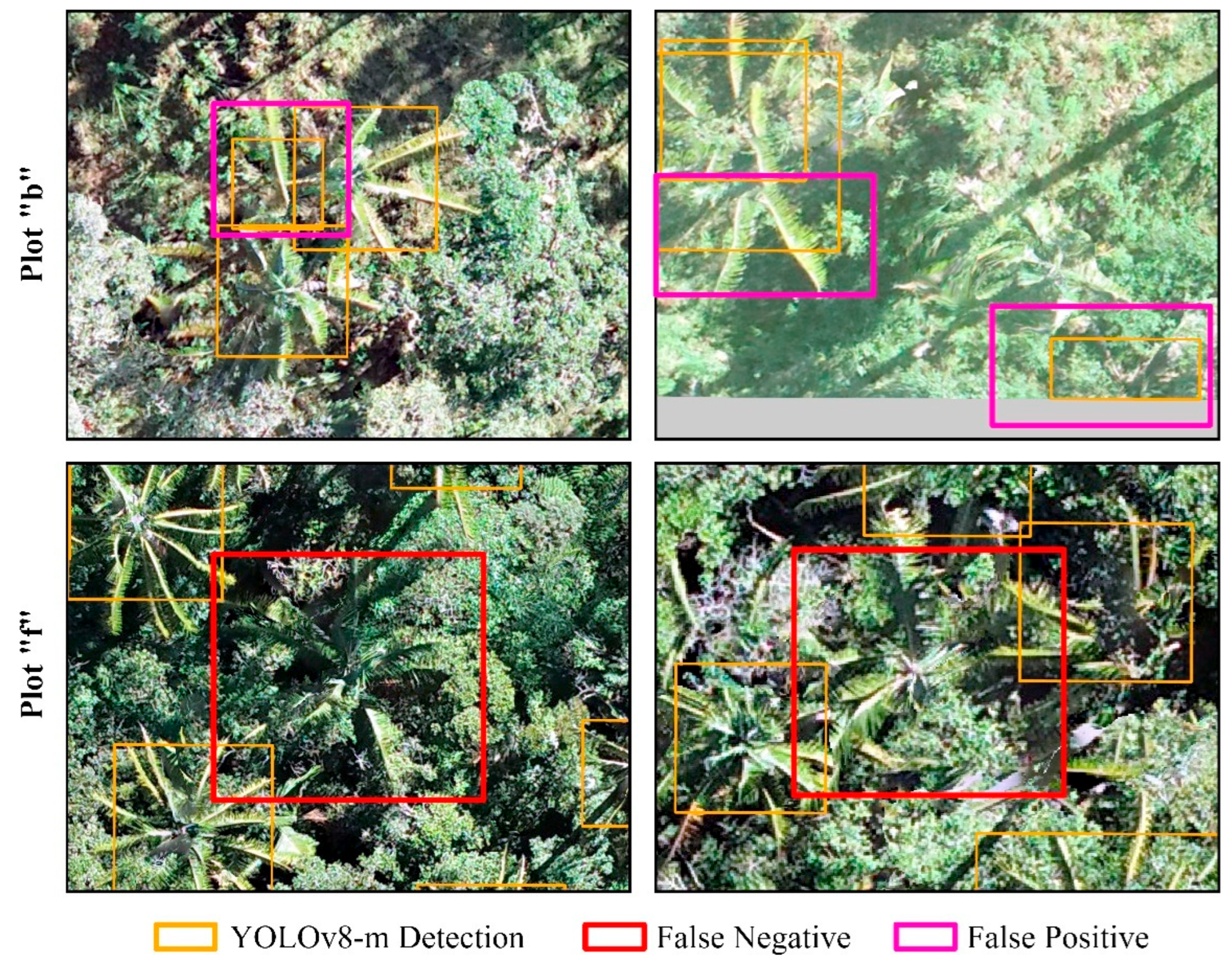 Forests 16 01061 g006 Forests 16 01061 g006