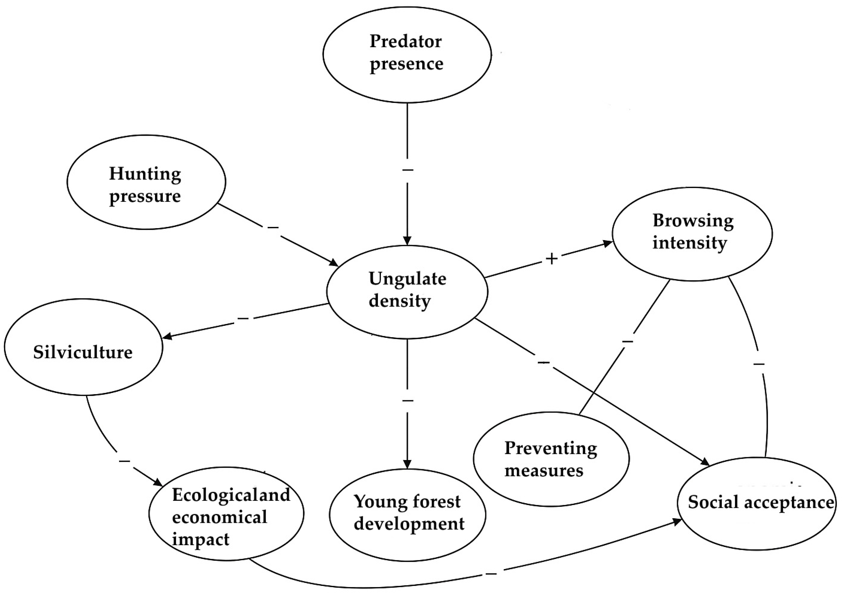 Forests 16 01079 g003