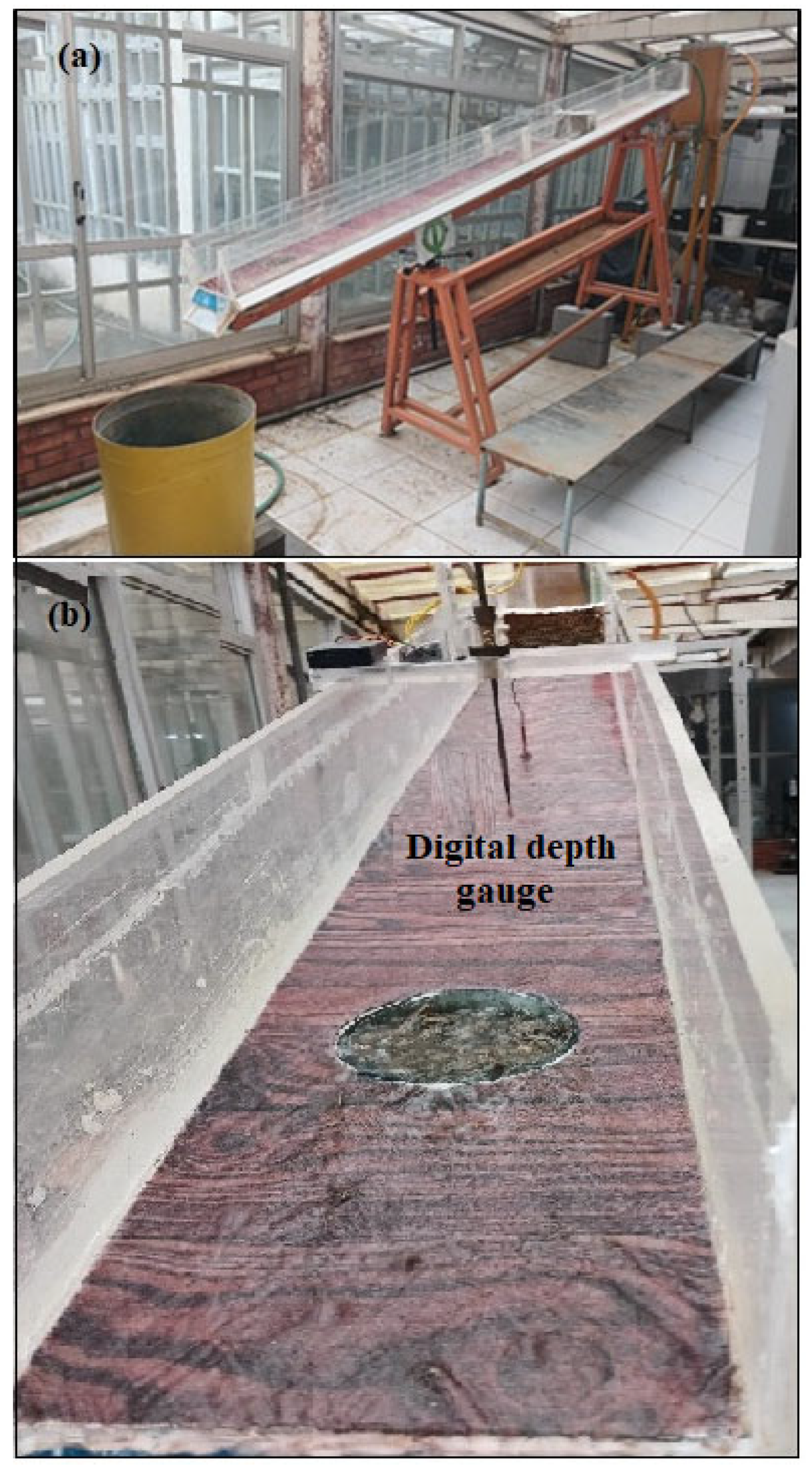 Forests 16 01097 g003