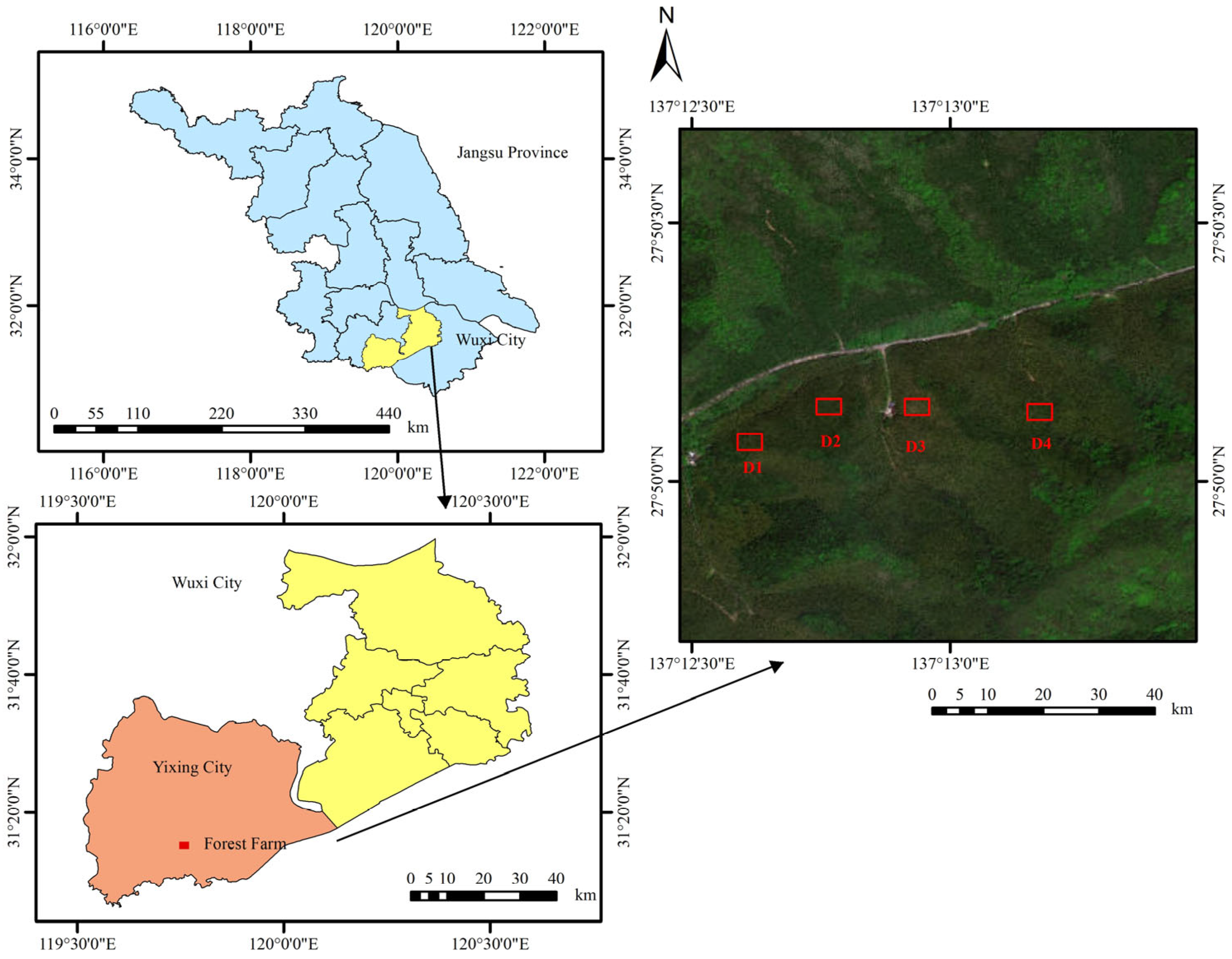 Forests 16 01098 g001