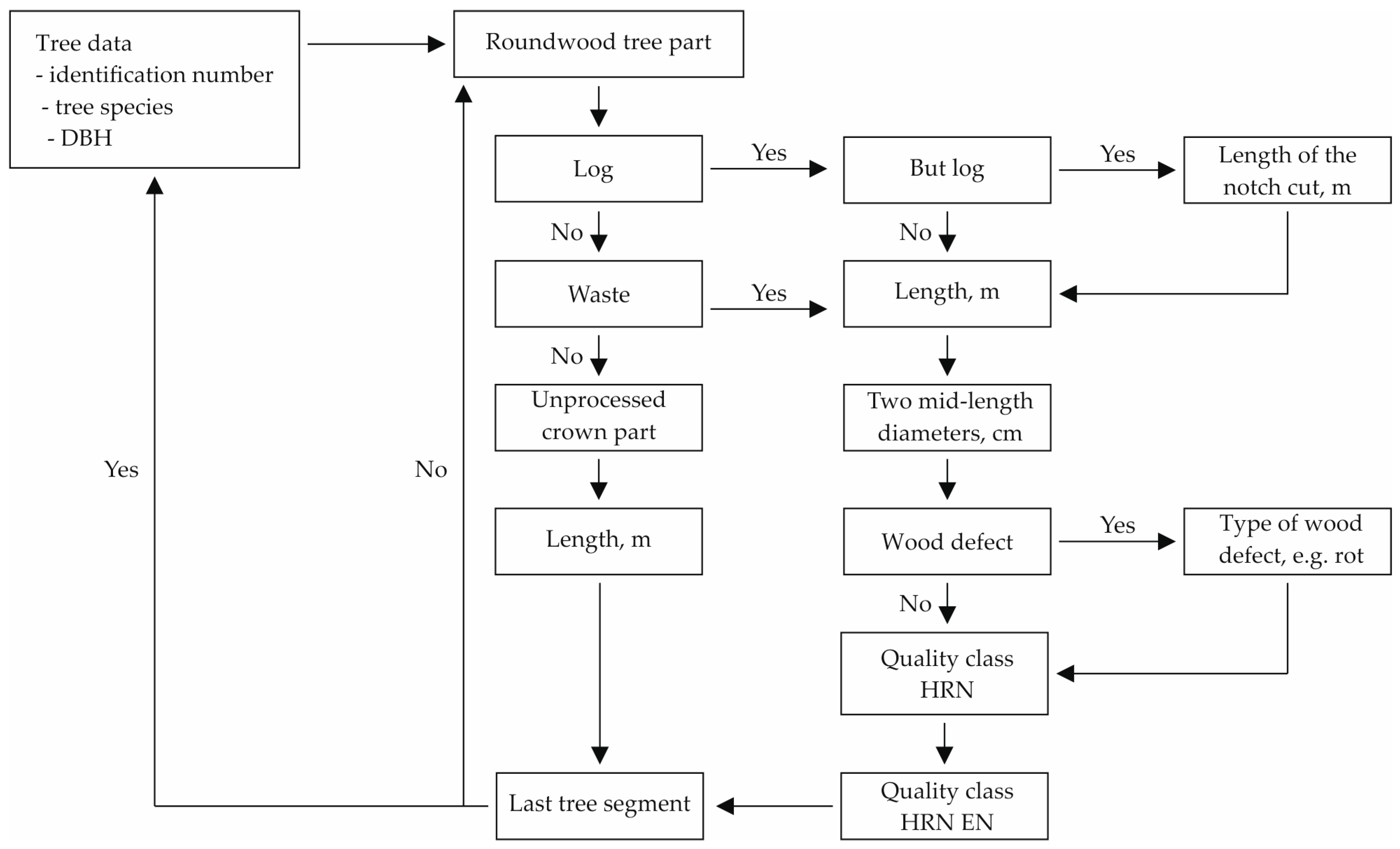 Forests 16 01111 g001