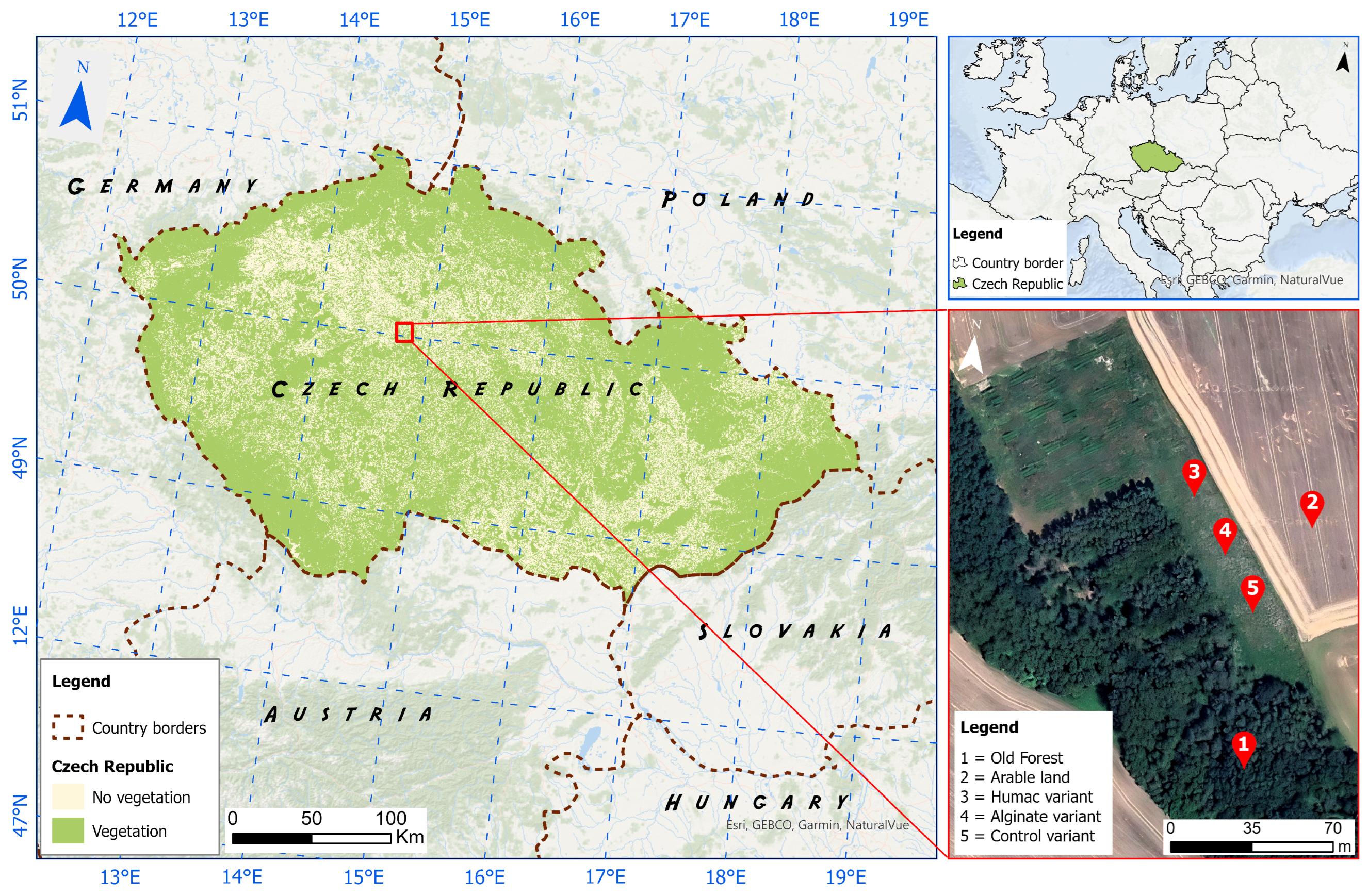 Forests 16 01113 g001 Forests 16 01113 g001