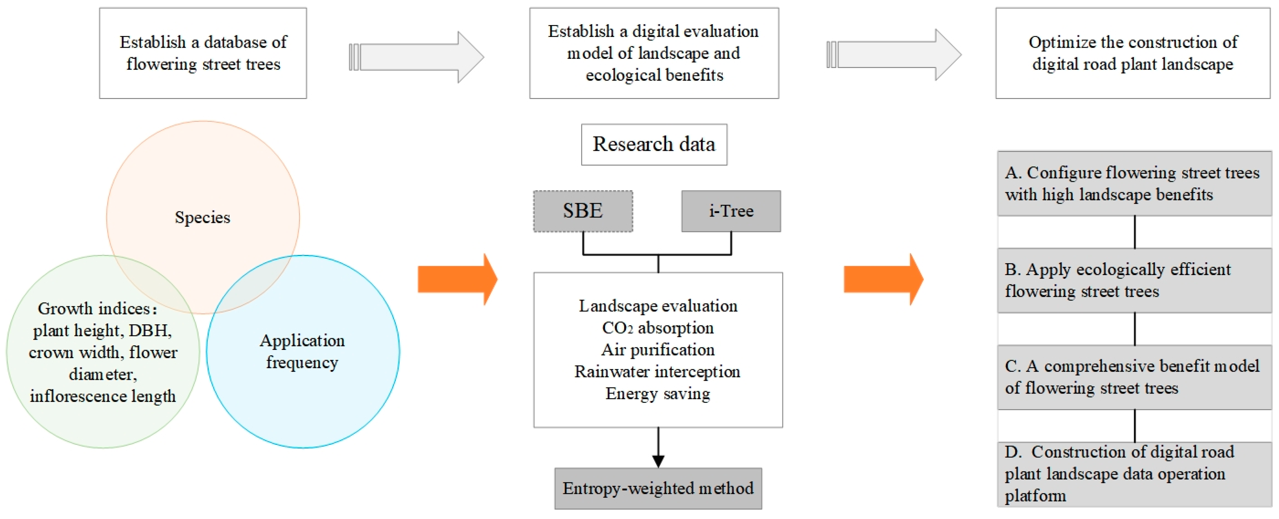 Forests 16 01116 g001