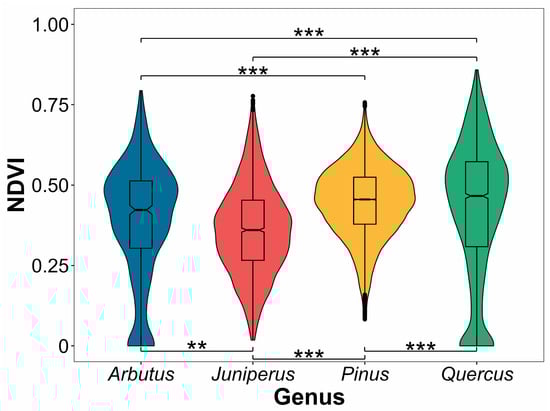 Forests 16 01118 g0a1
