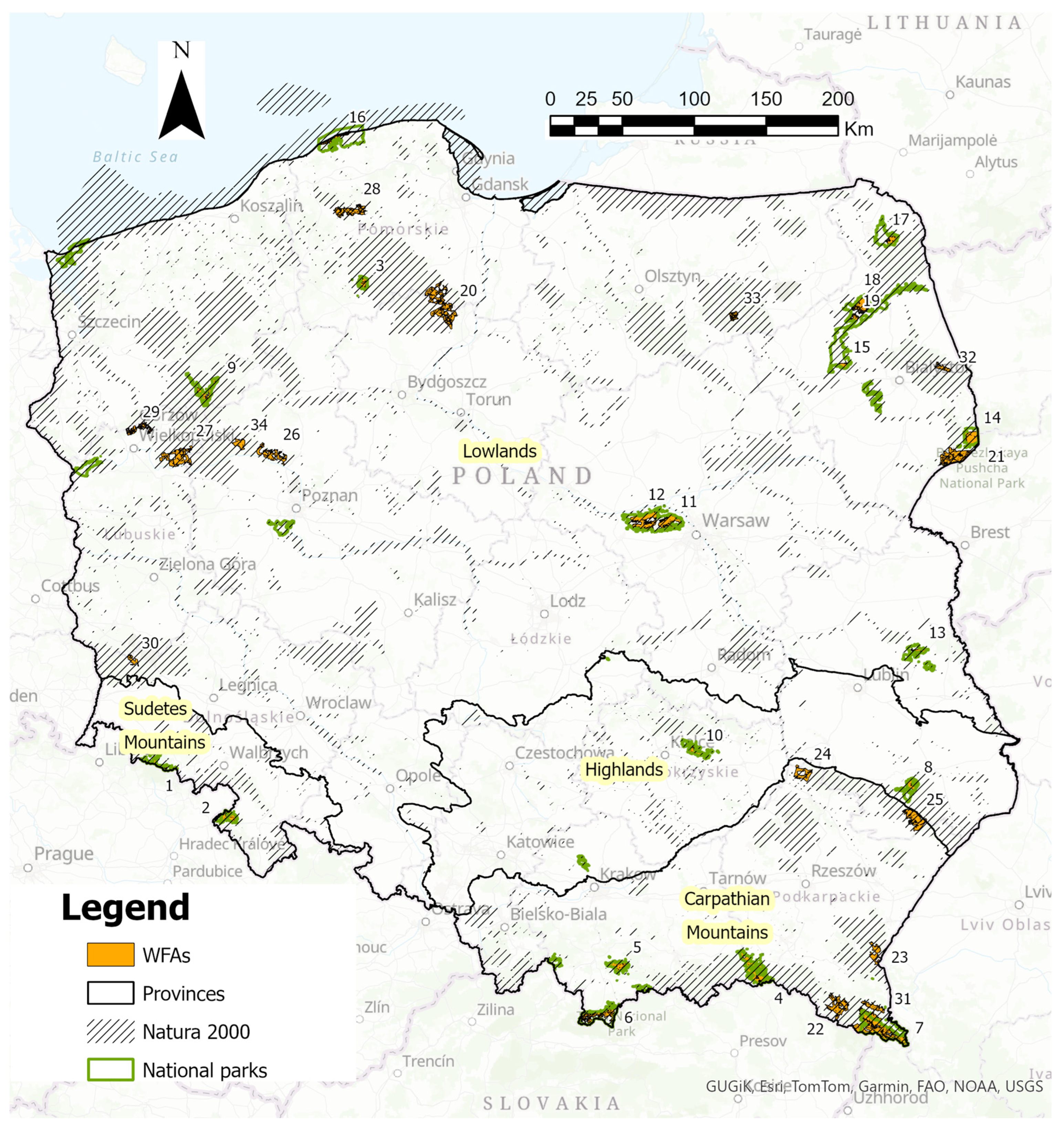 Forests 16 01121 g002