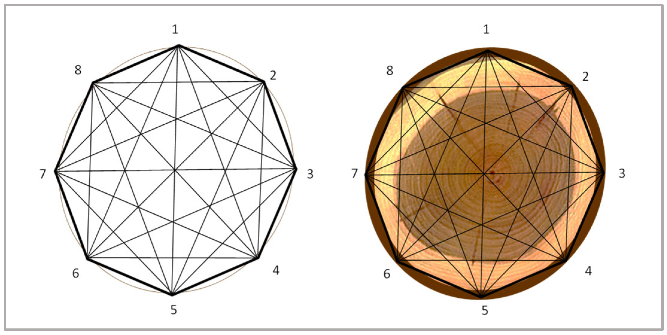 Forests 16 01125 g001