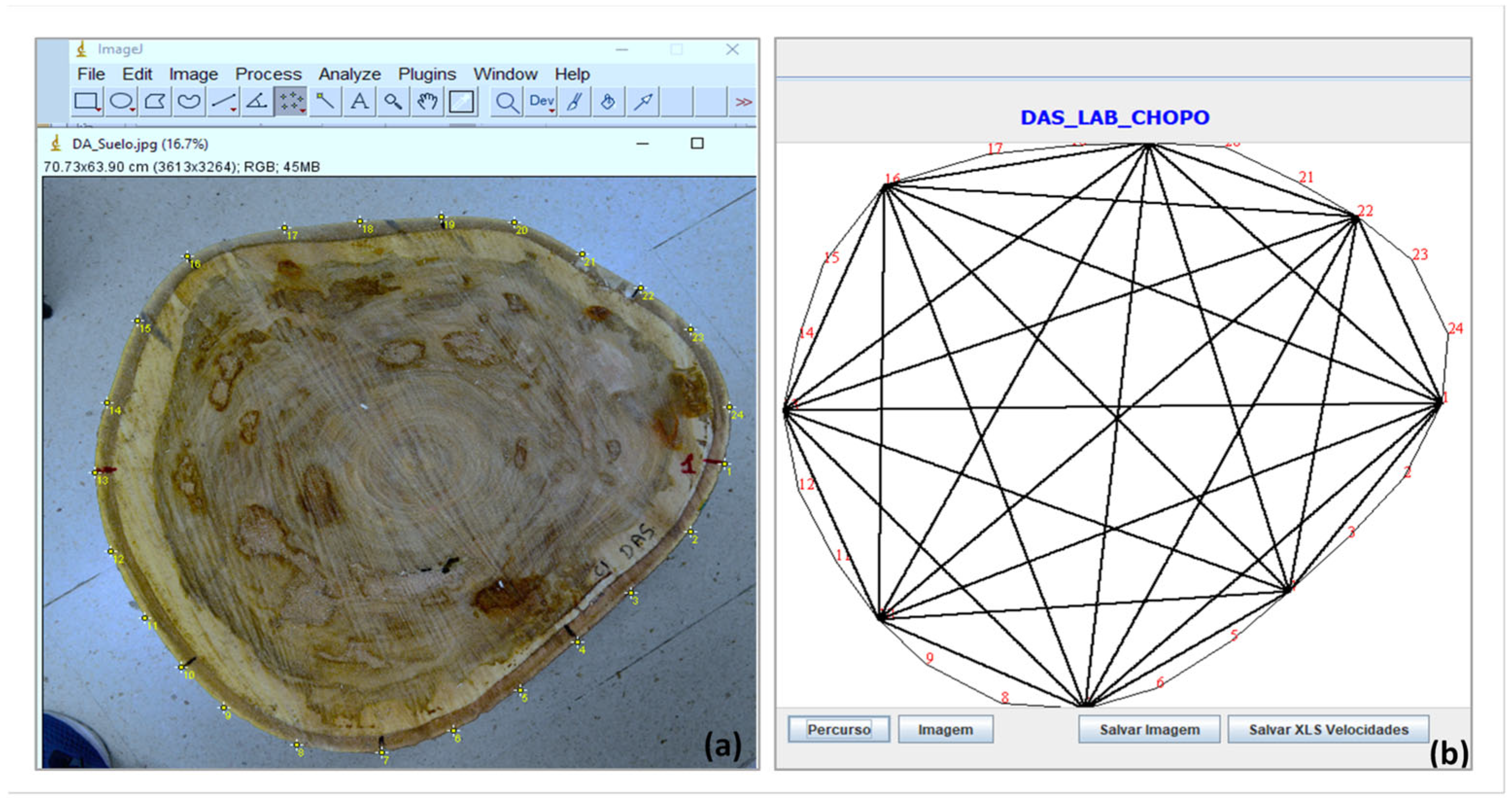 Forests 16 01125 g002