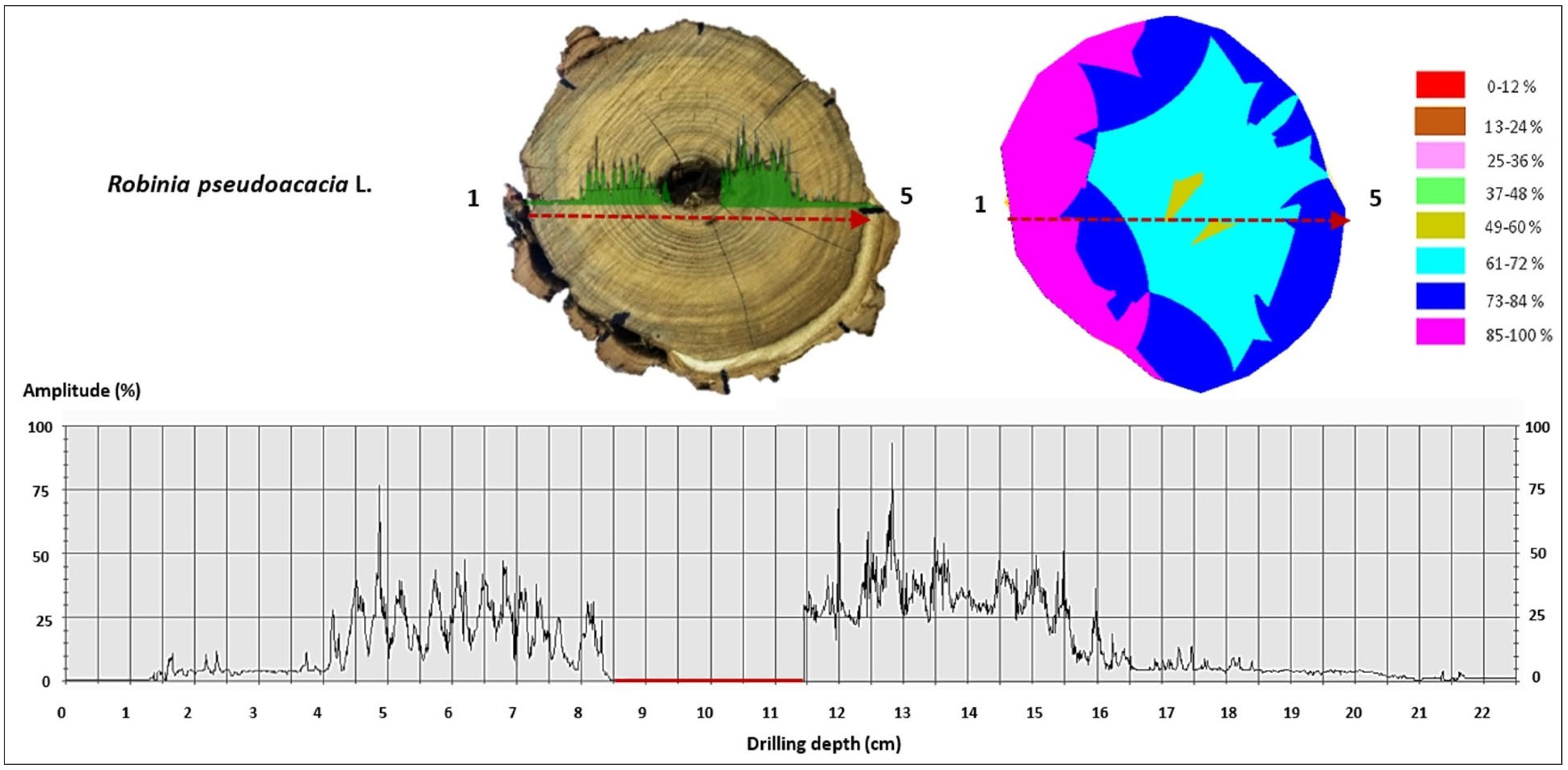 Forests 16 01125 g006