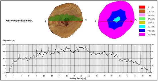 Forests 16 01125 g0a3