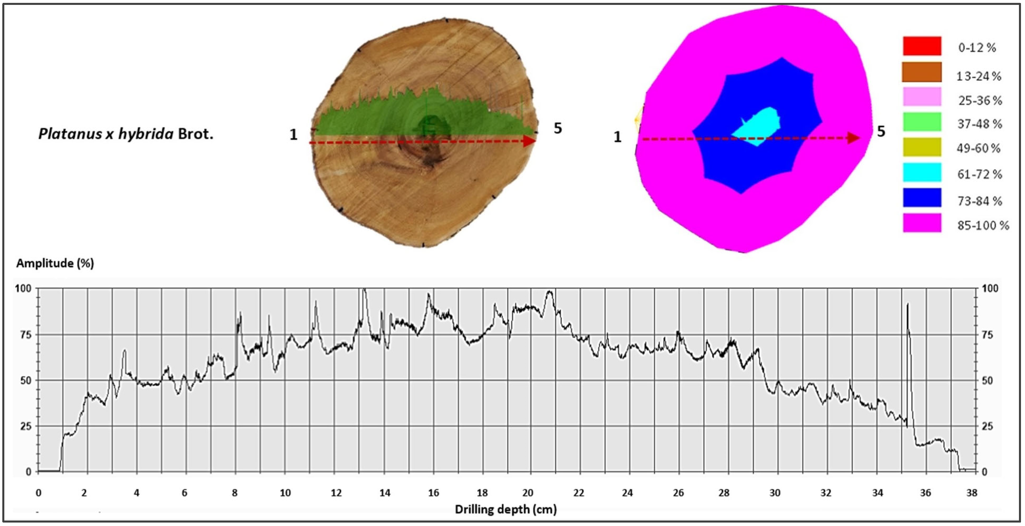 Forests 16 01125 g0a3