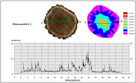 Forests 16 01125 g0a4