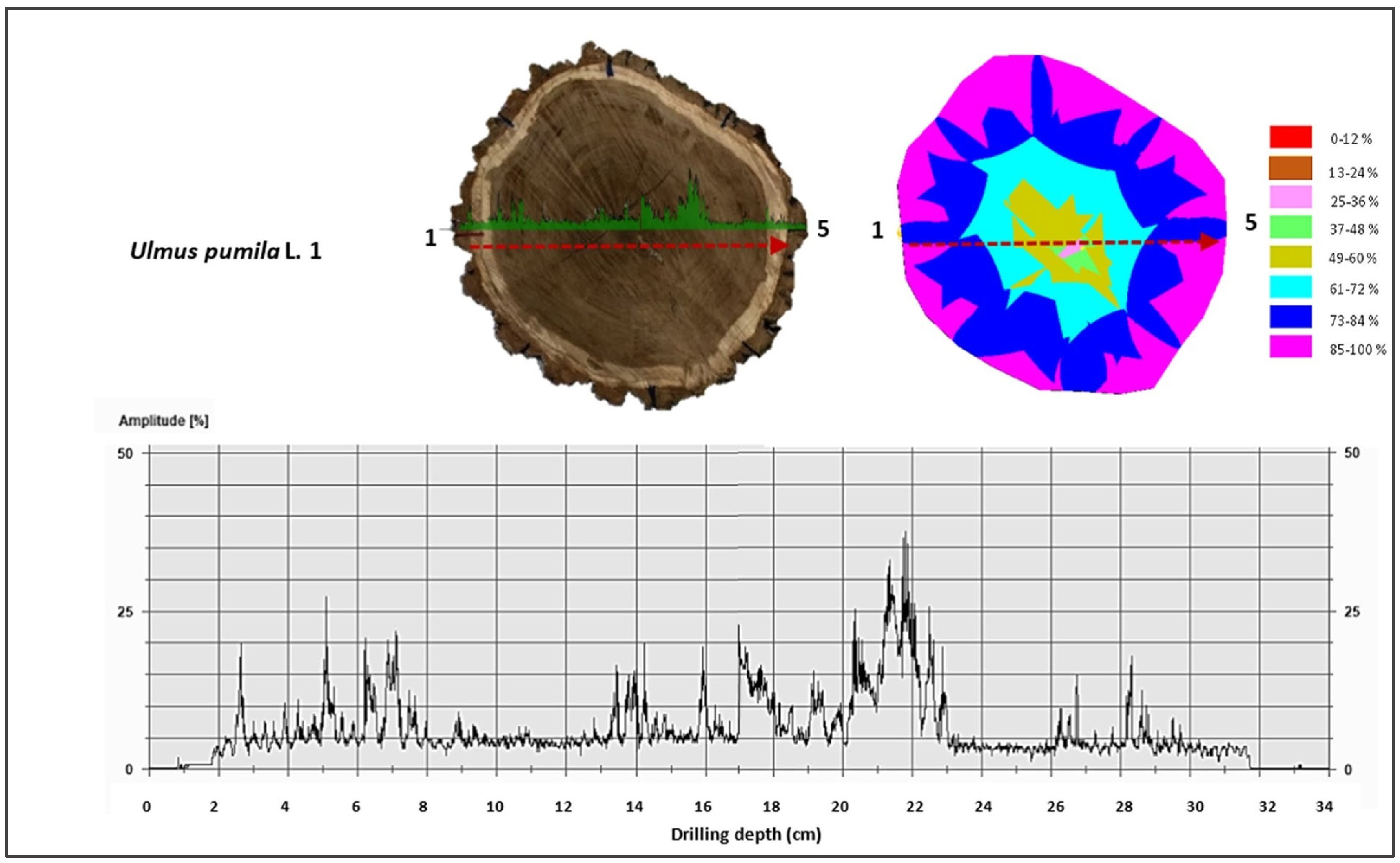Forests 16 01125 g0a4