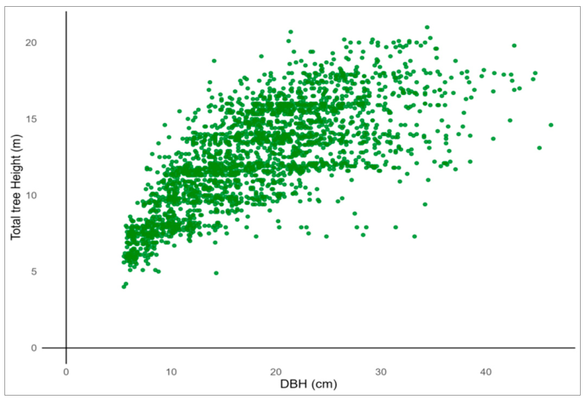 Forests 16 01138 g002