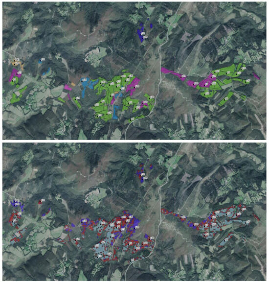 Forests 16 01140 g0a3