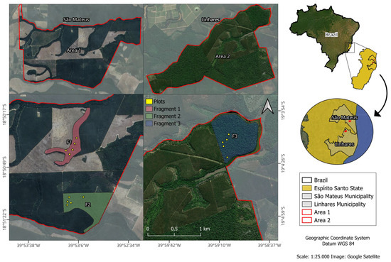 Forests 16 01169 g001