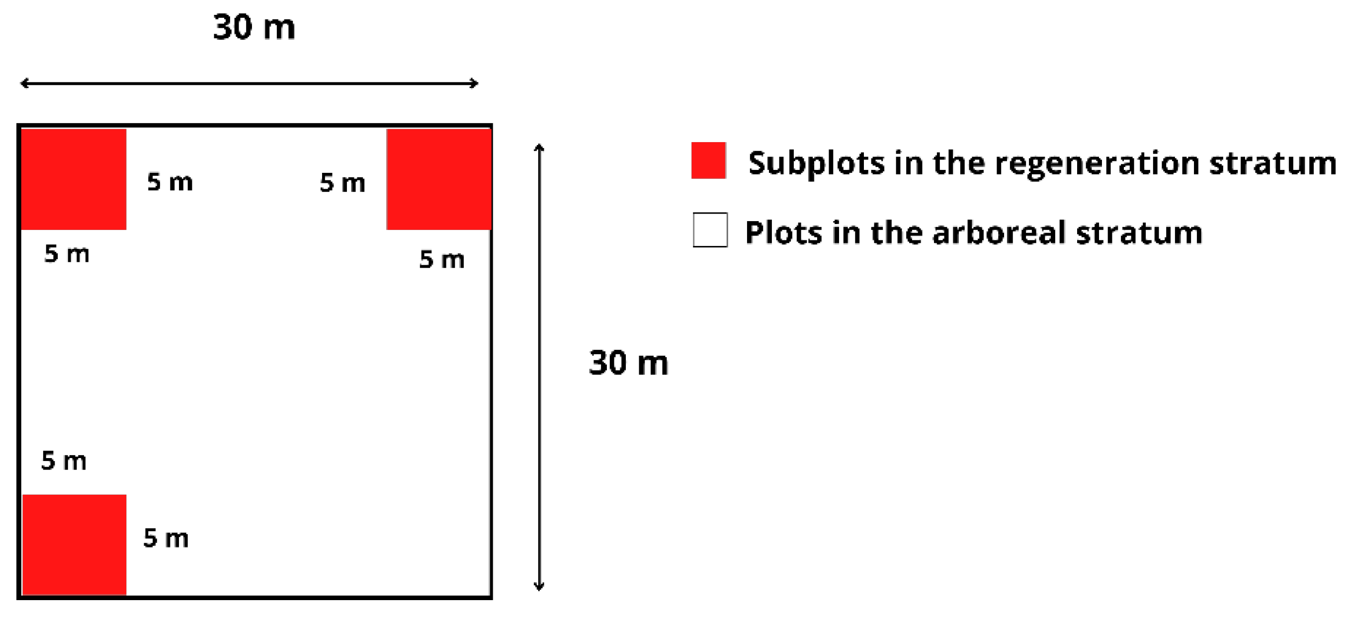 Forests 16 01169 g003 Forests 16 01169 g003
