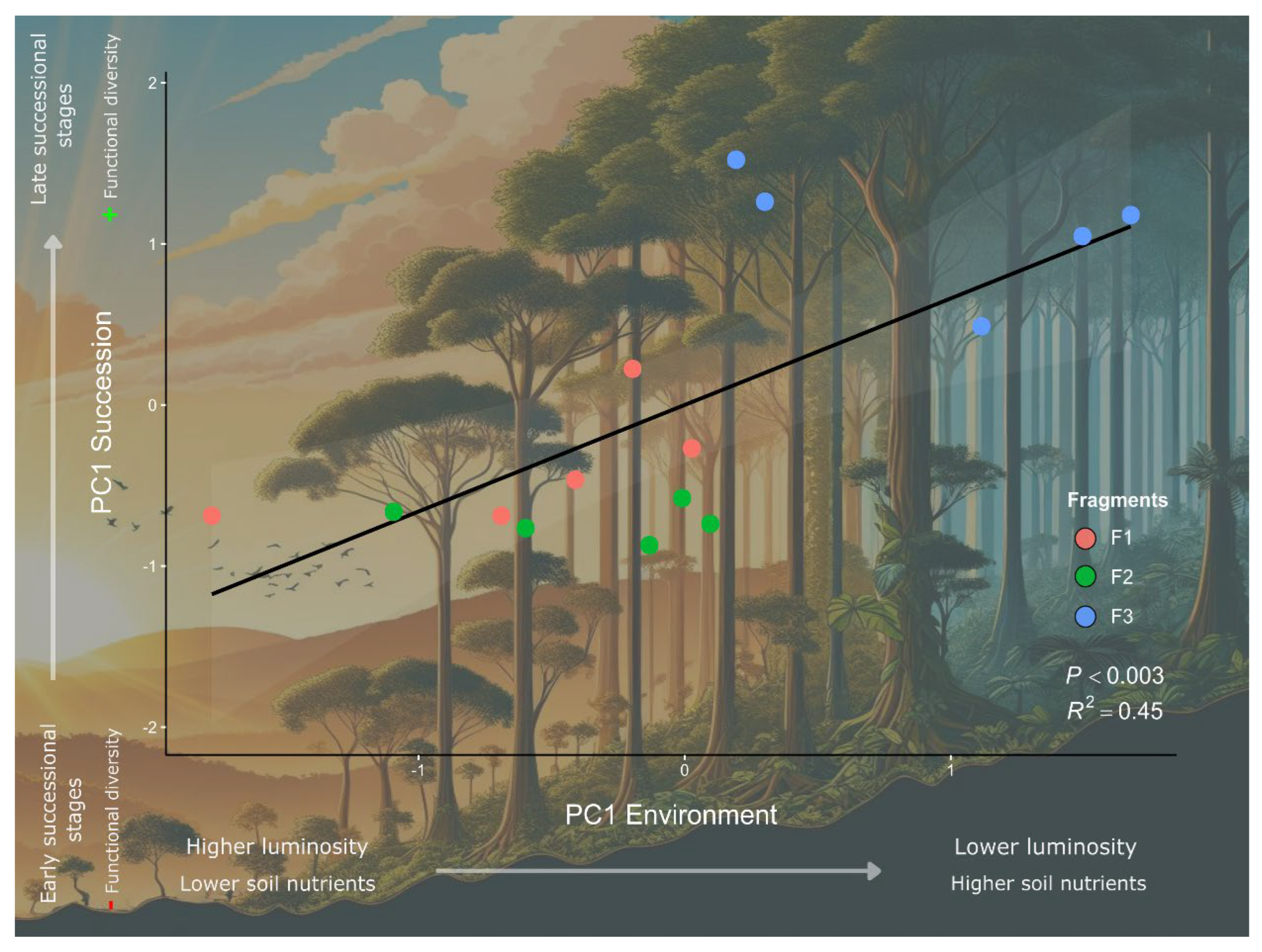 Forests 16 01169 g010 Forests 16 01169 g010