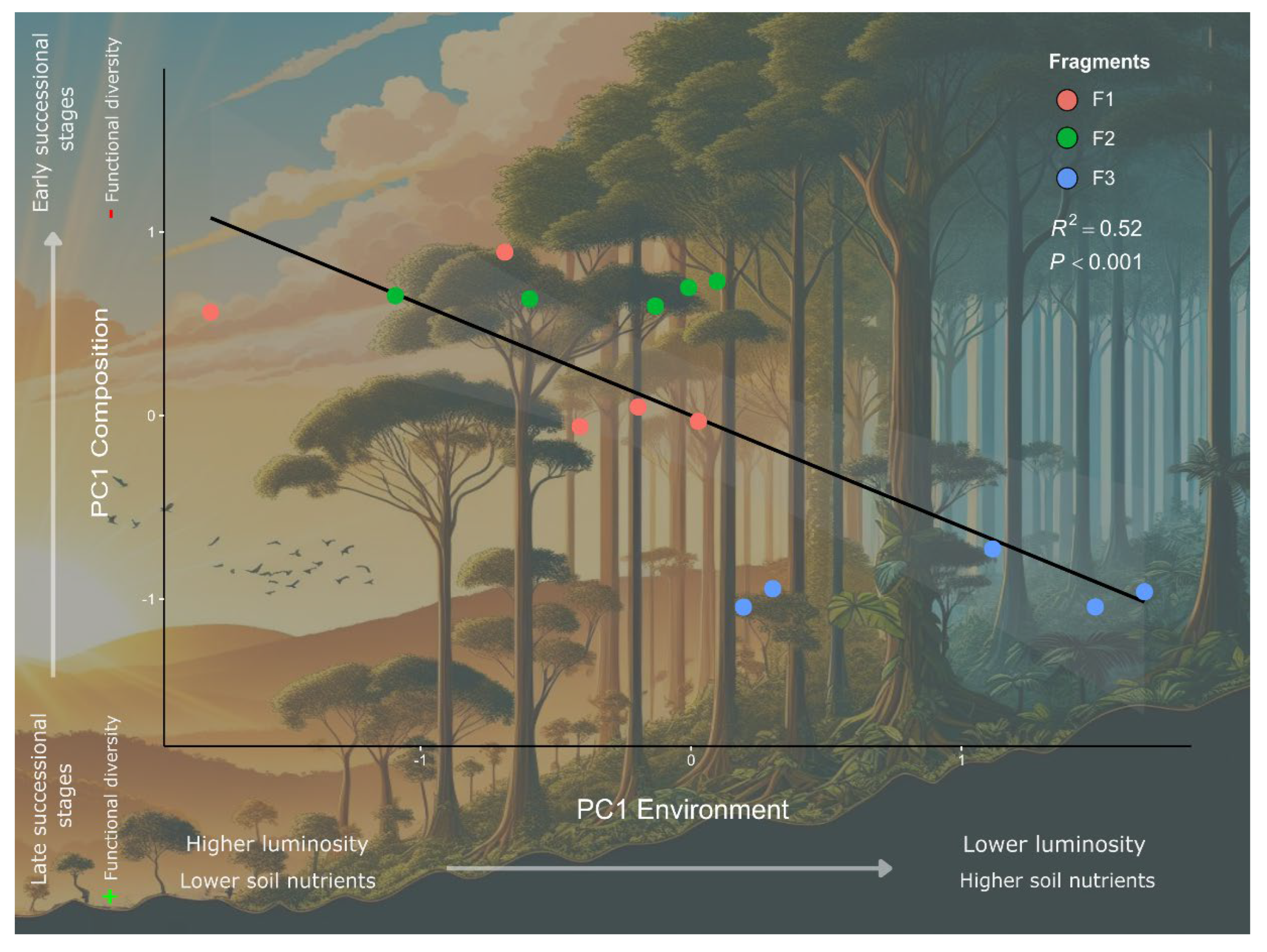 Forests 16 01169 g011 Forests 16 01169 g011