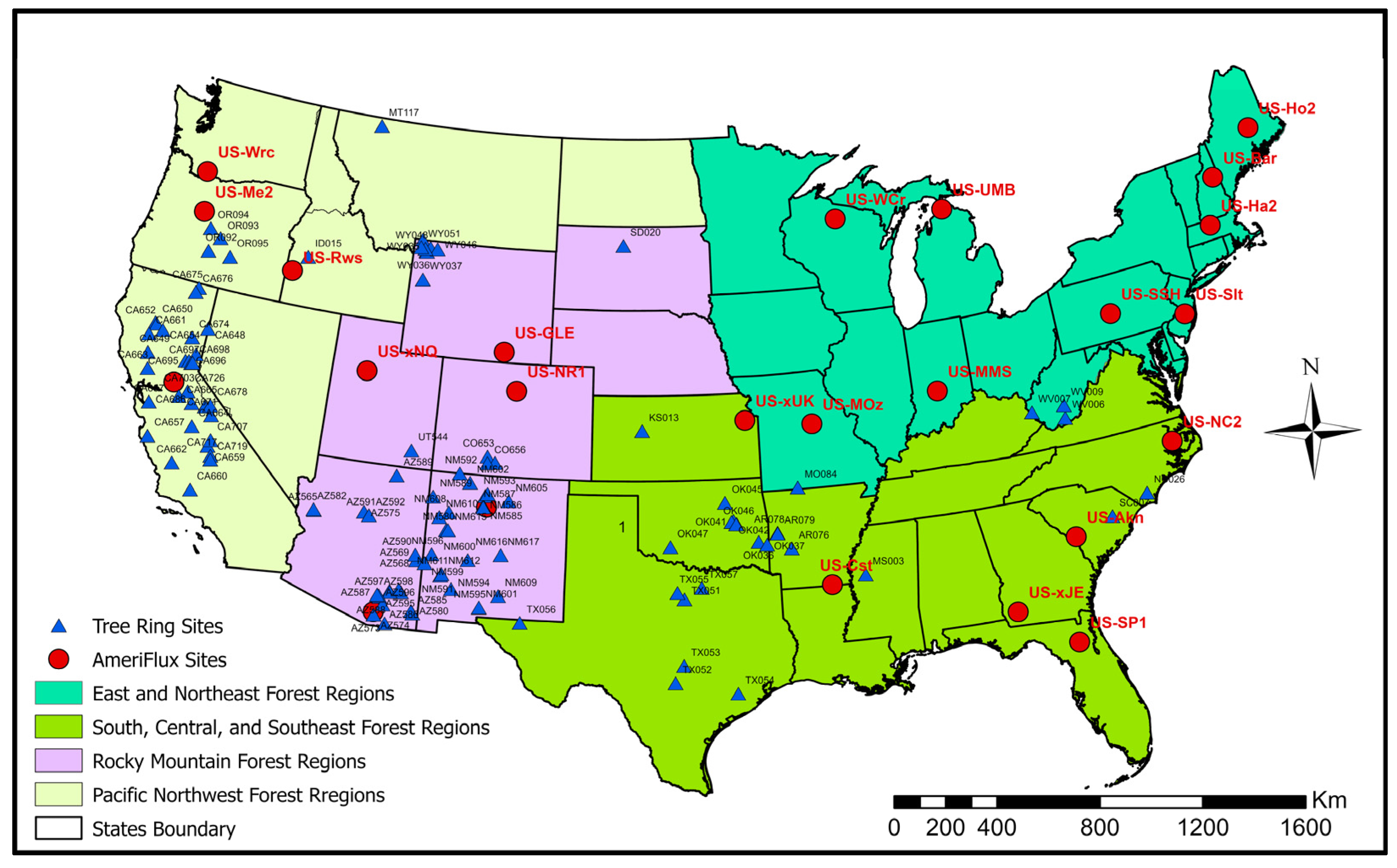 Forests 16 01187 g004