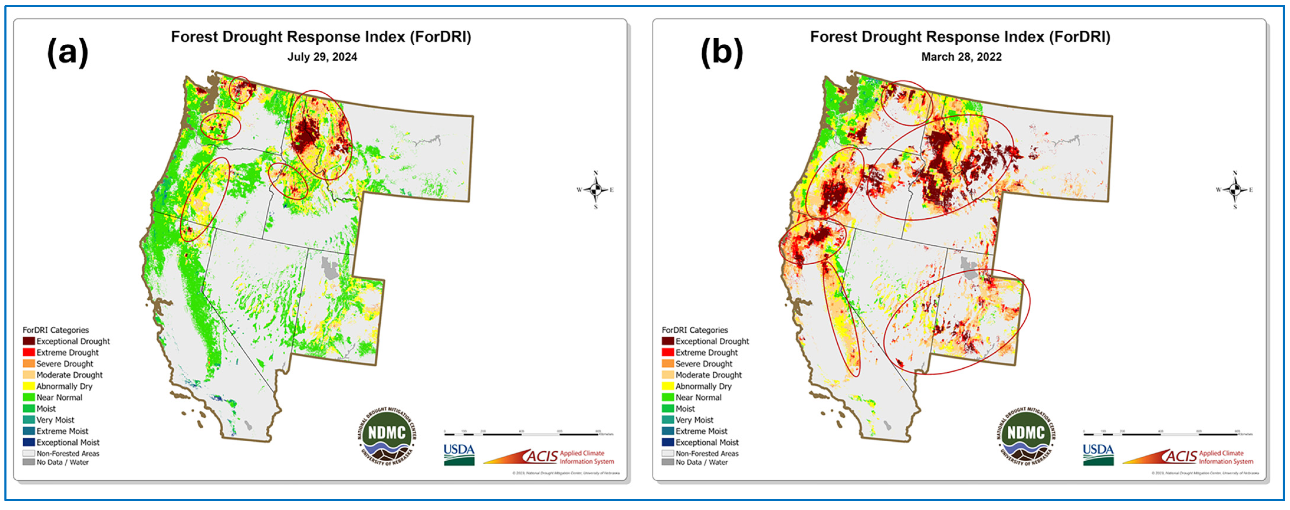 Forests 16 01187 g006