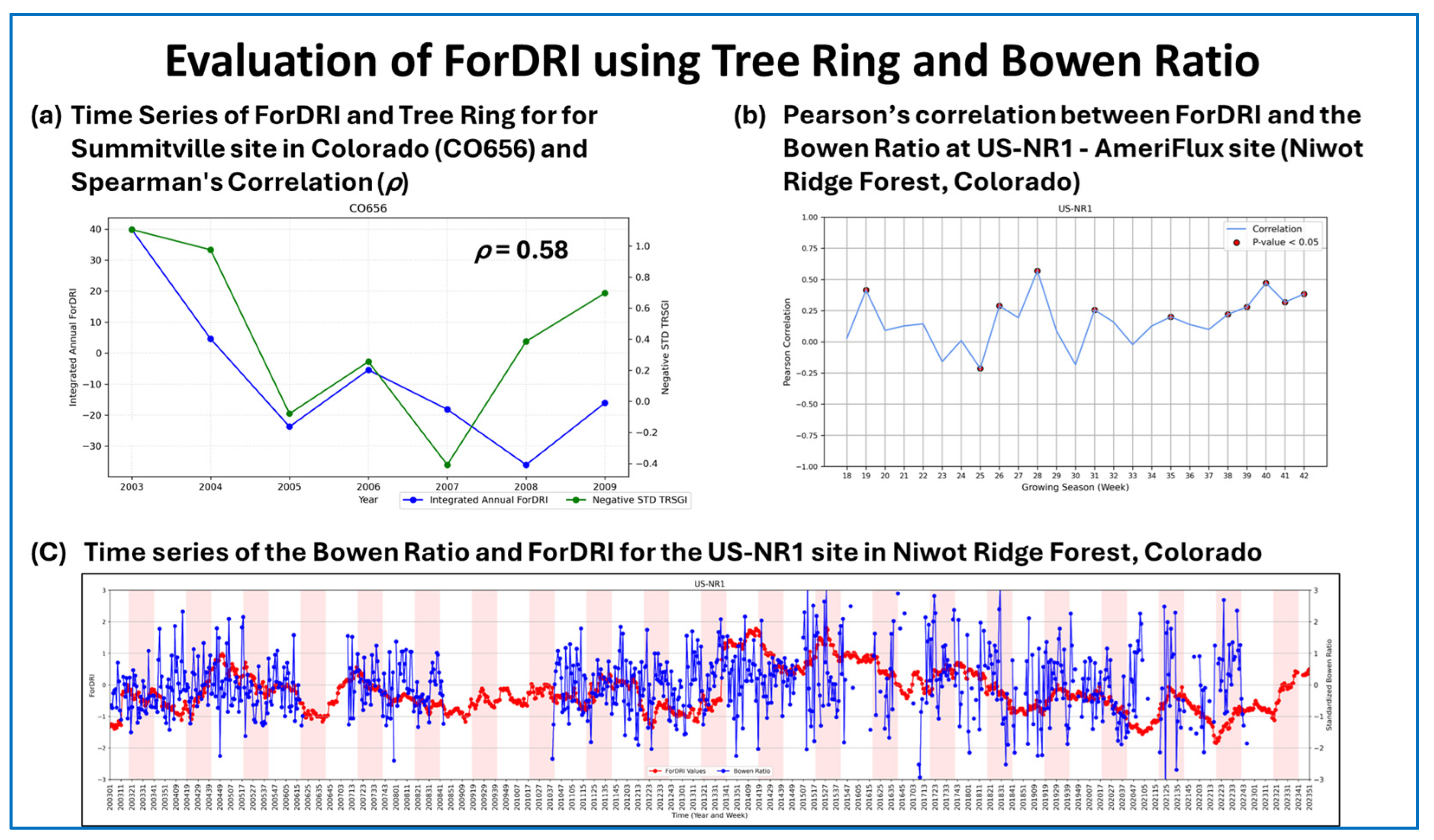 Forests 16 01187 g007