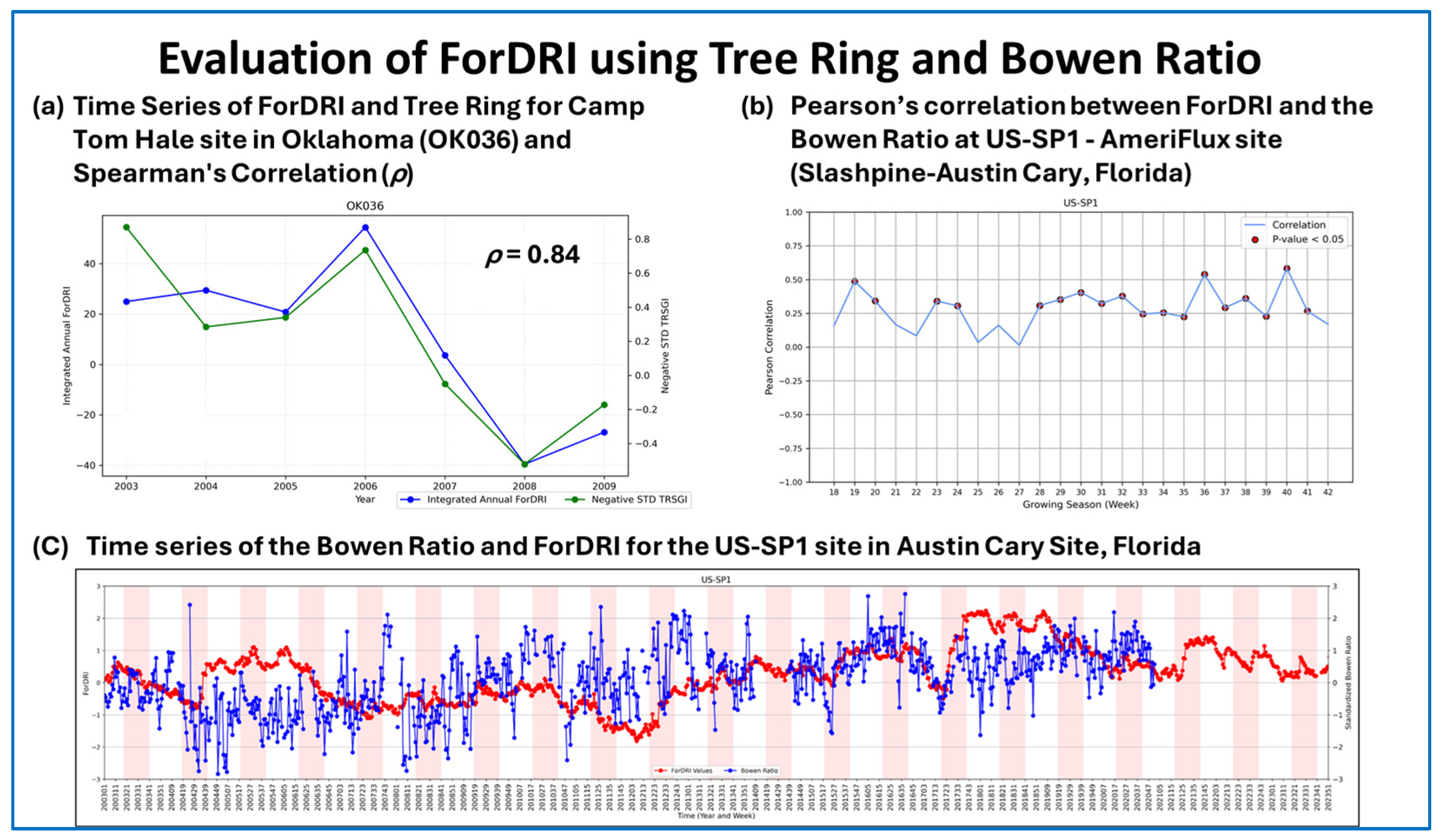 Forests 16 01187 g011