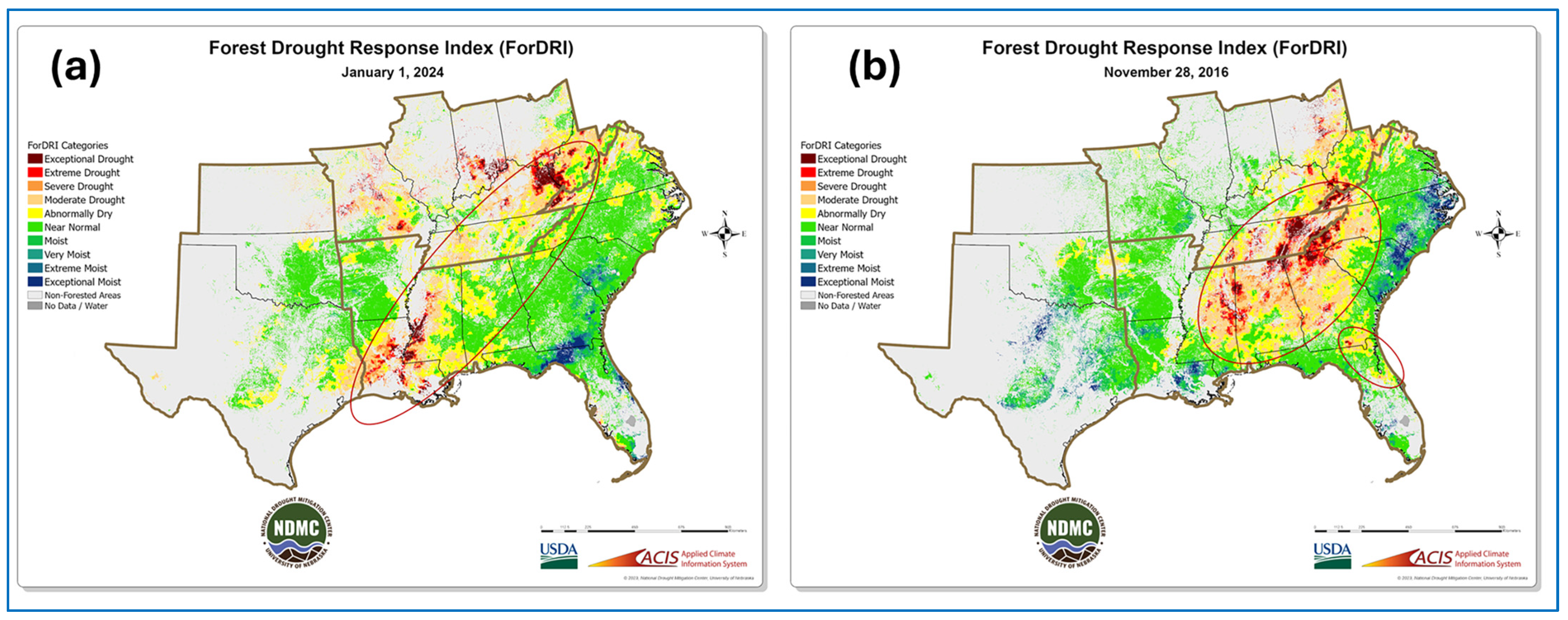 Forests 16 01187 g012