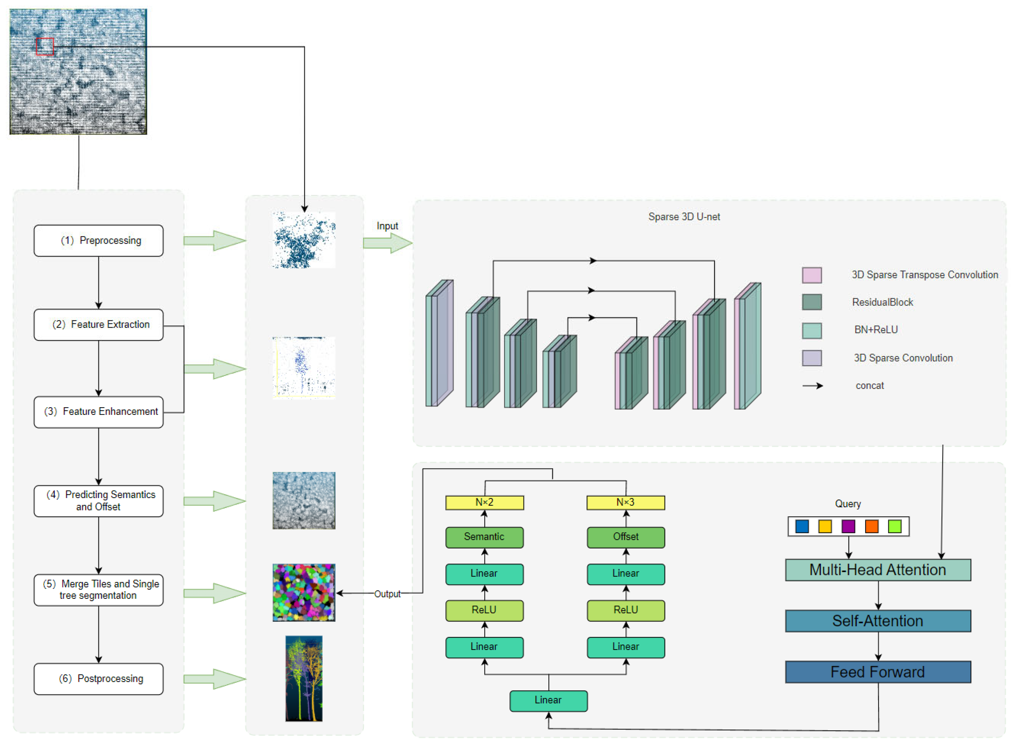 Forests 16 01192 g002