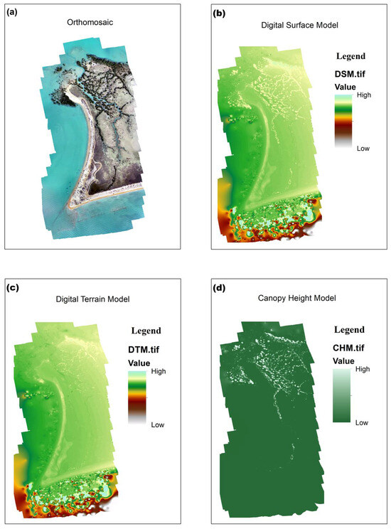 Forests 16 01196 g004