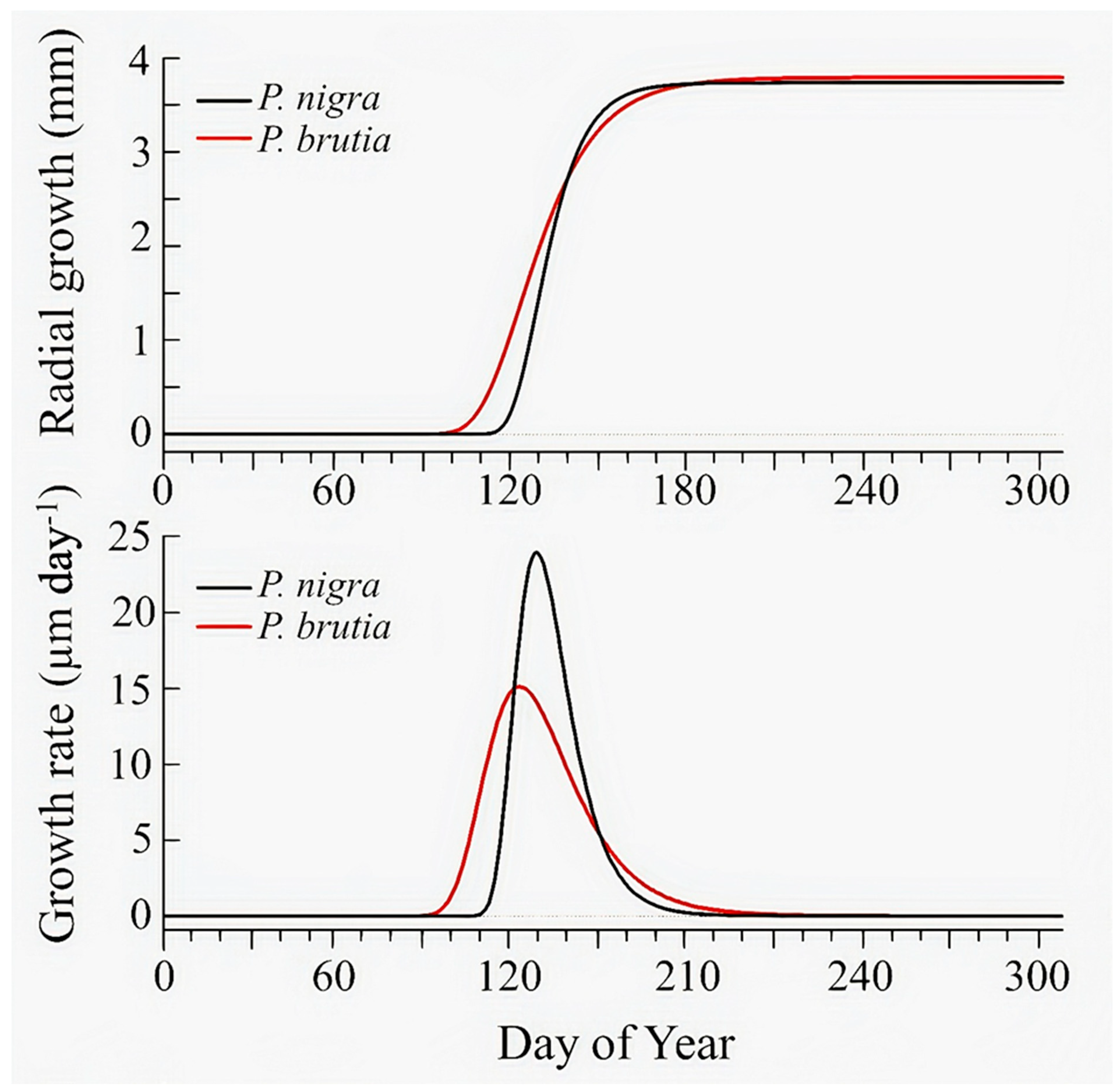 Forests 16 01229 g004