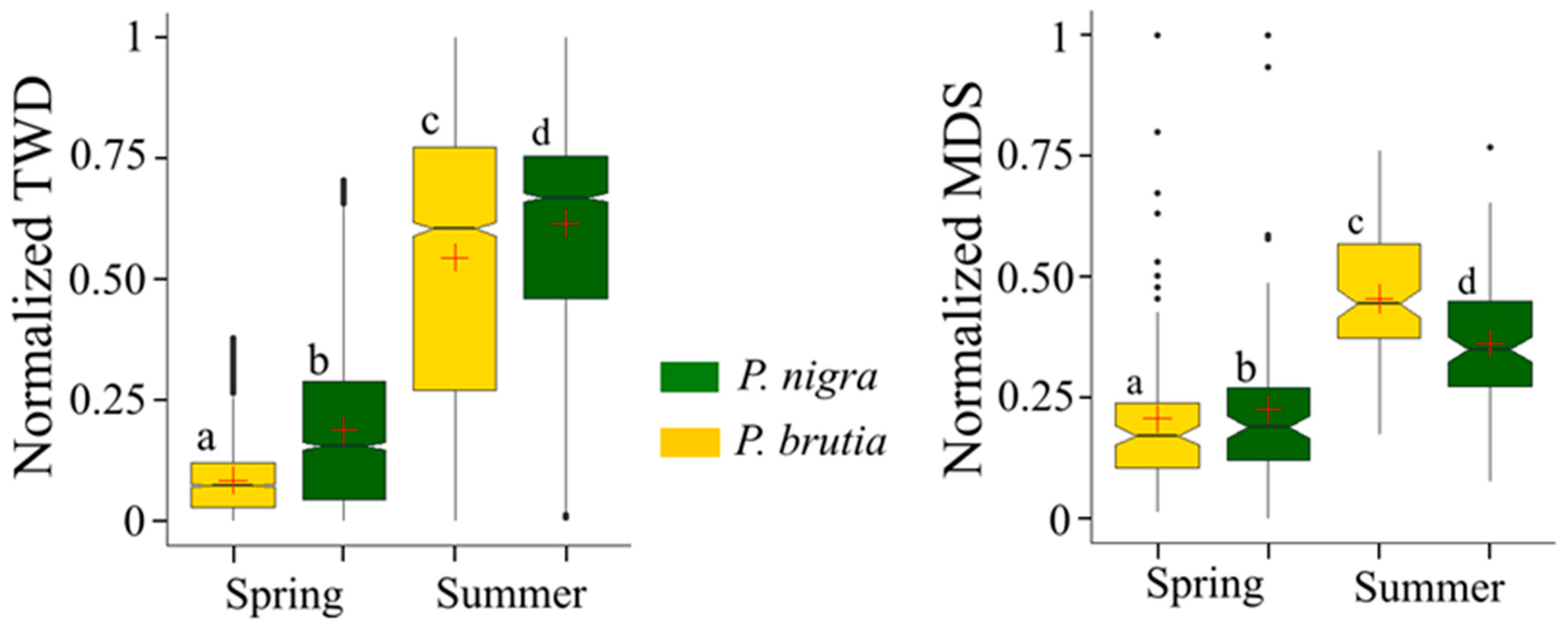 Forests 16 01229 g005