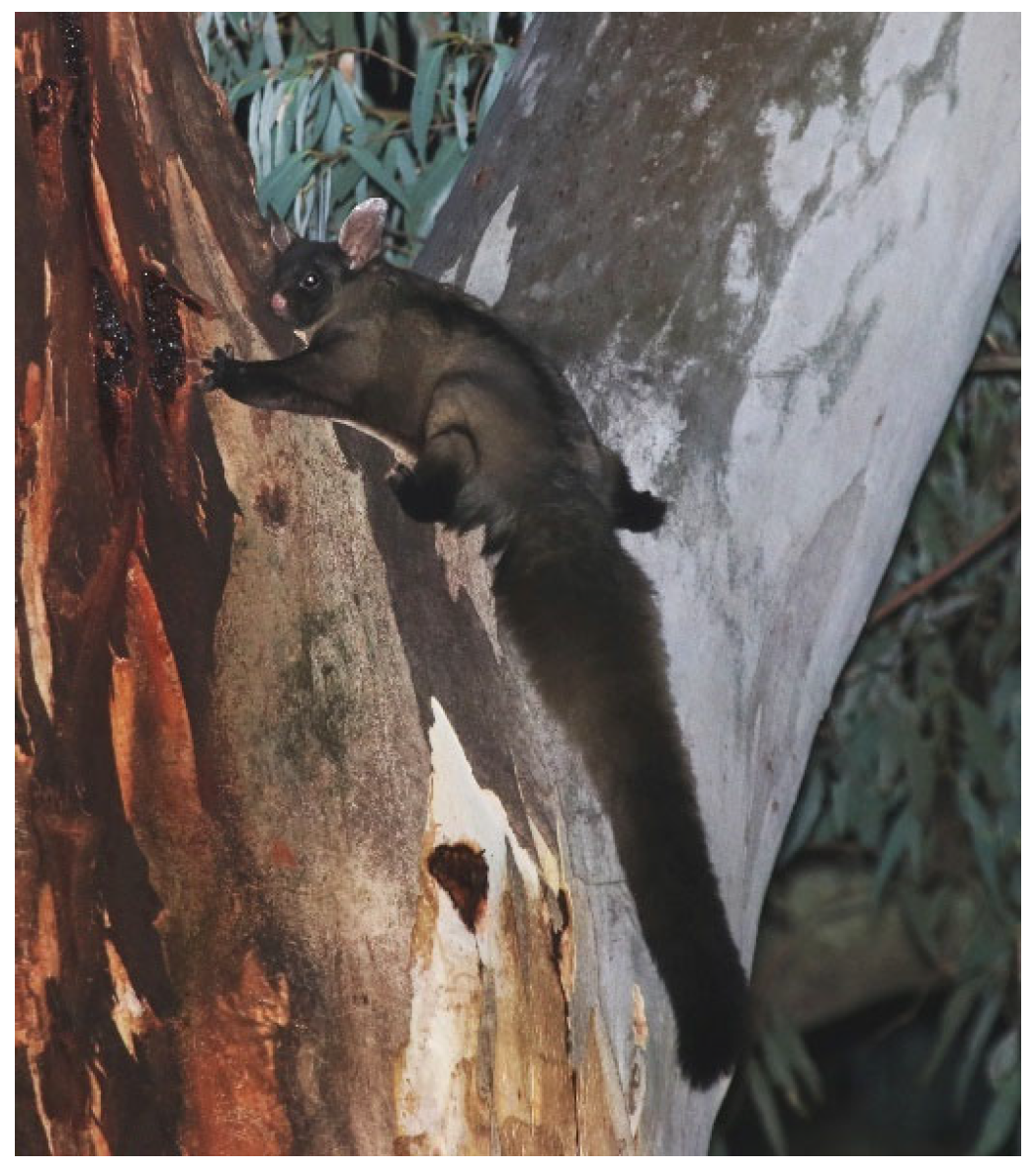 Forests 16 01230 g001