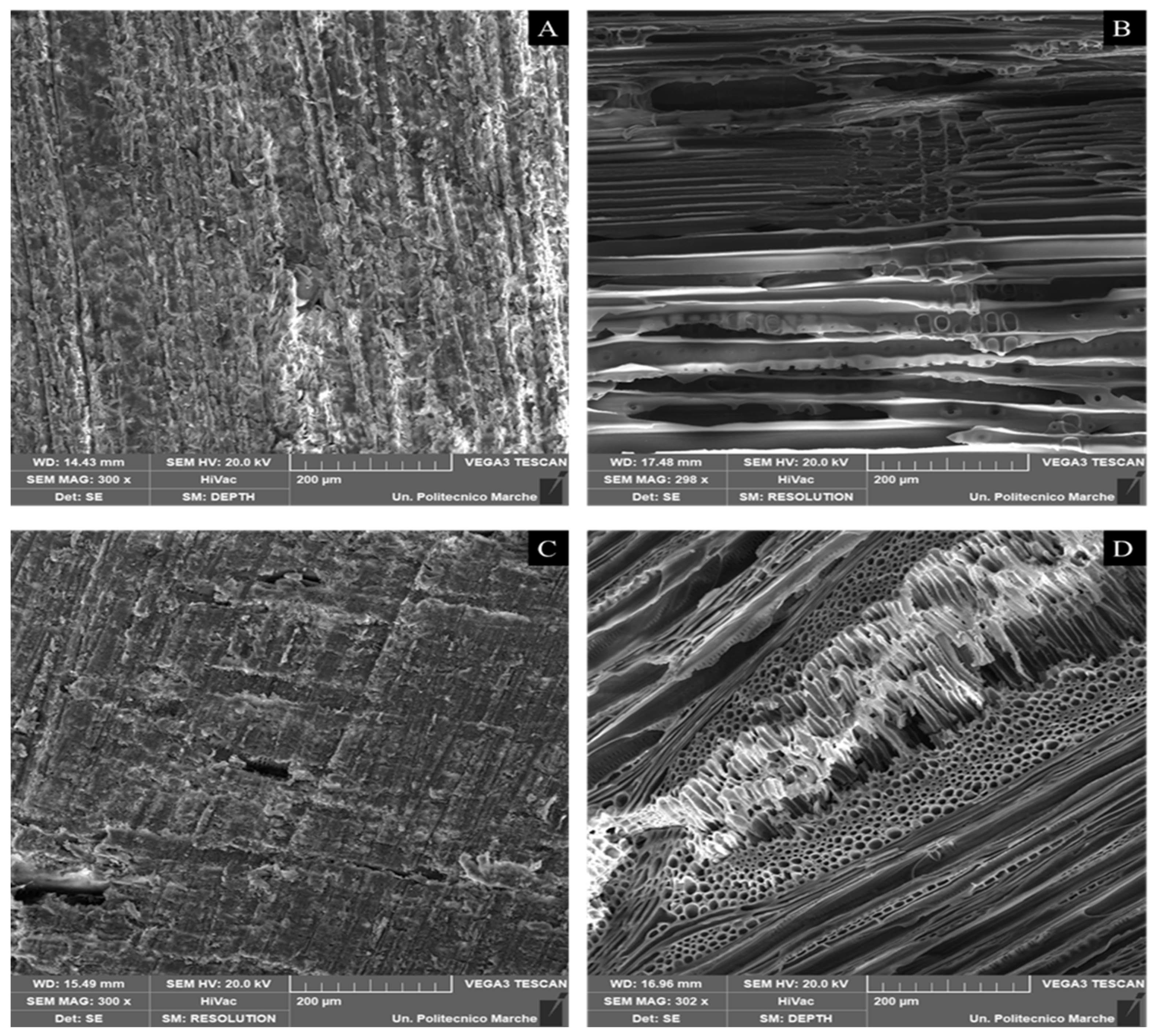 Forests 16 01237 g006