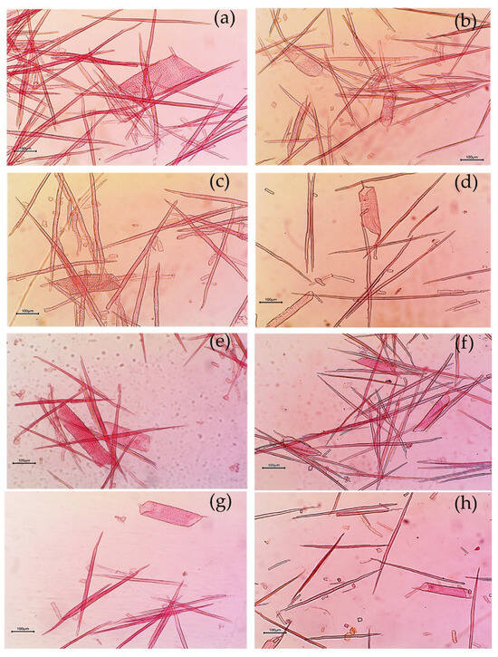 Forests 16 01267 g0a2