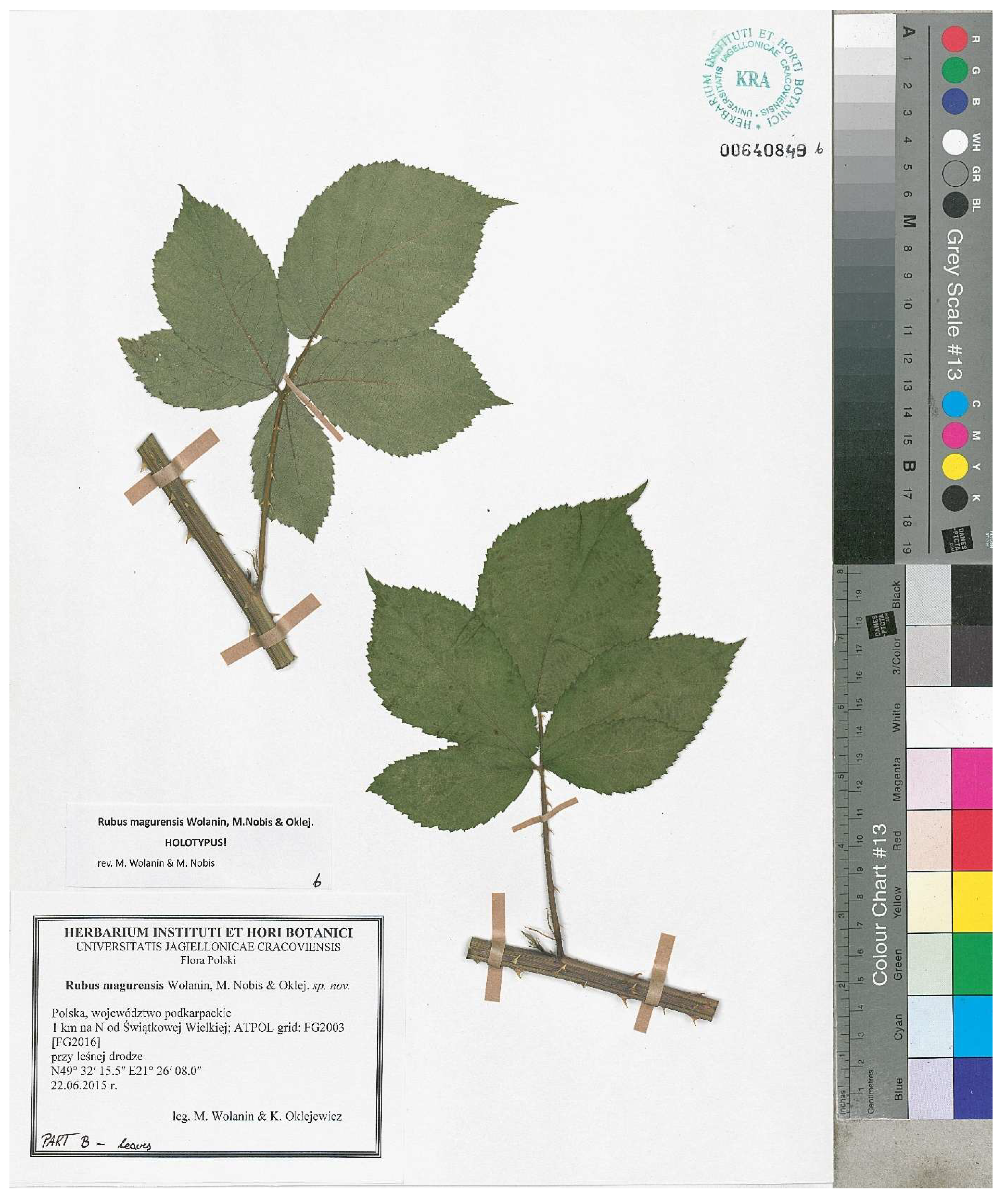 Forests 16 01286 g002