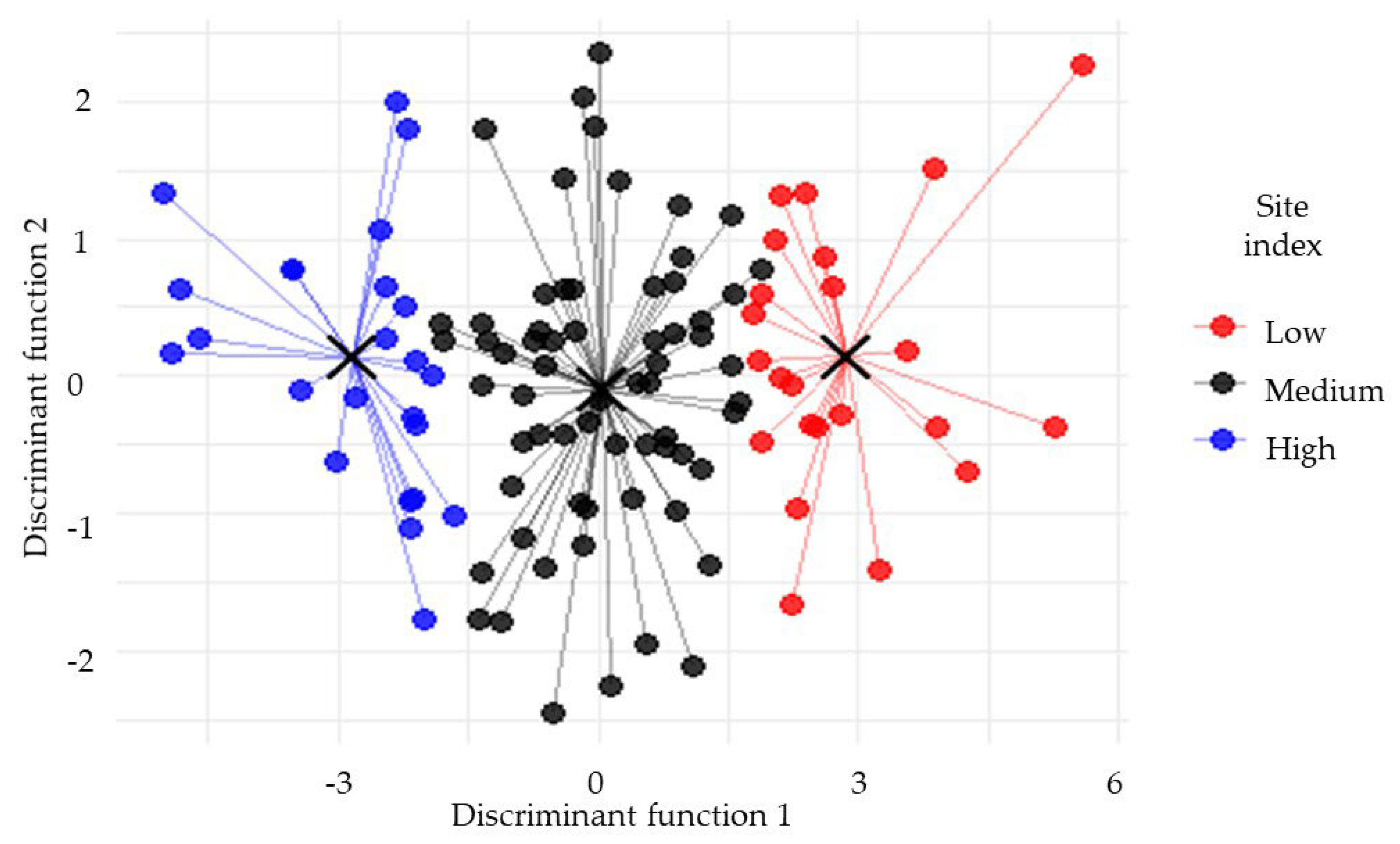 Forests 16 01295 g004