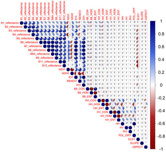 Forests 16 01302 g004