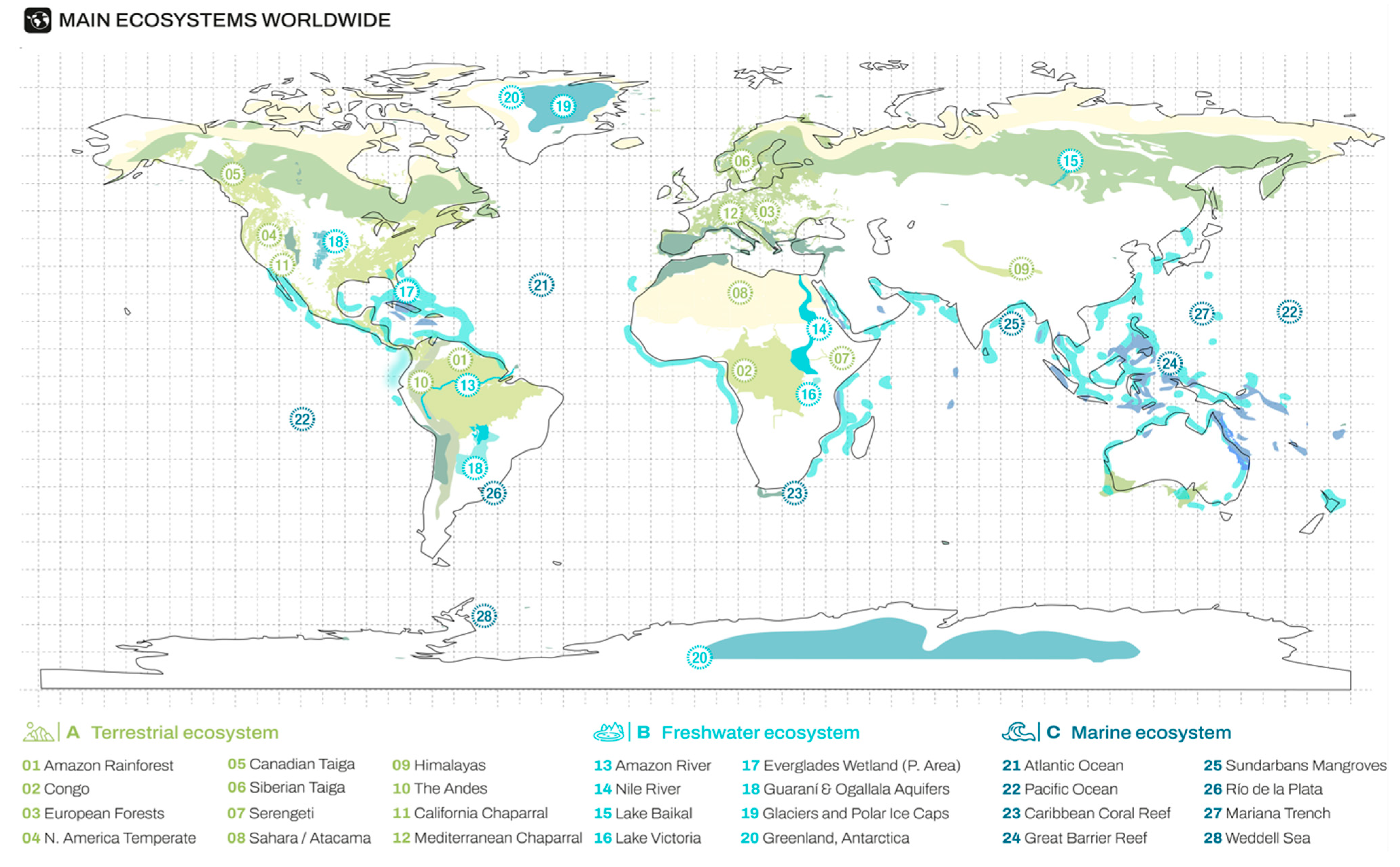Forests 16 01310 g001